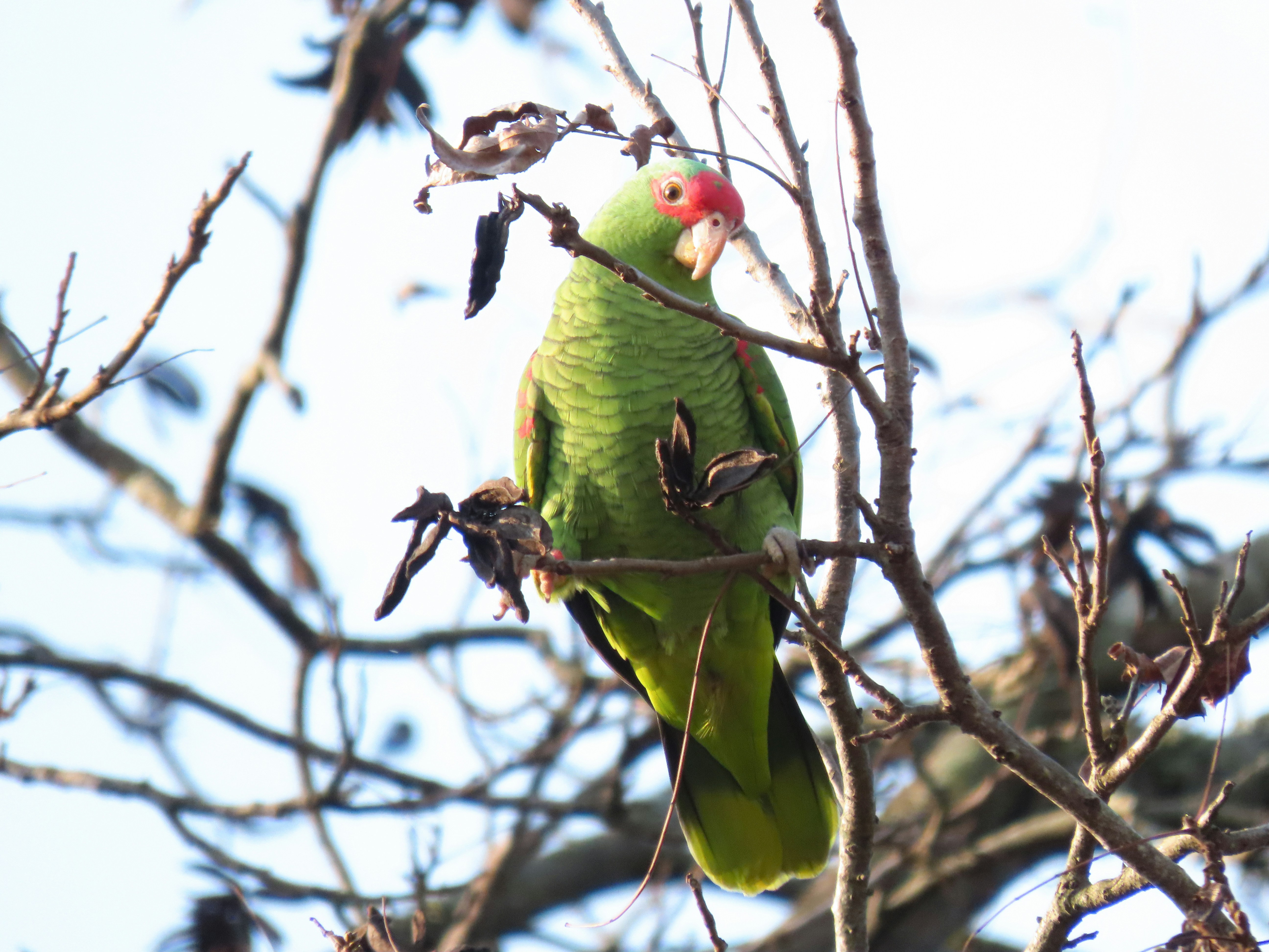 Photo by patricianicoloso