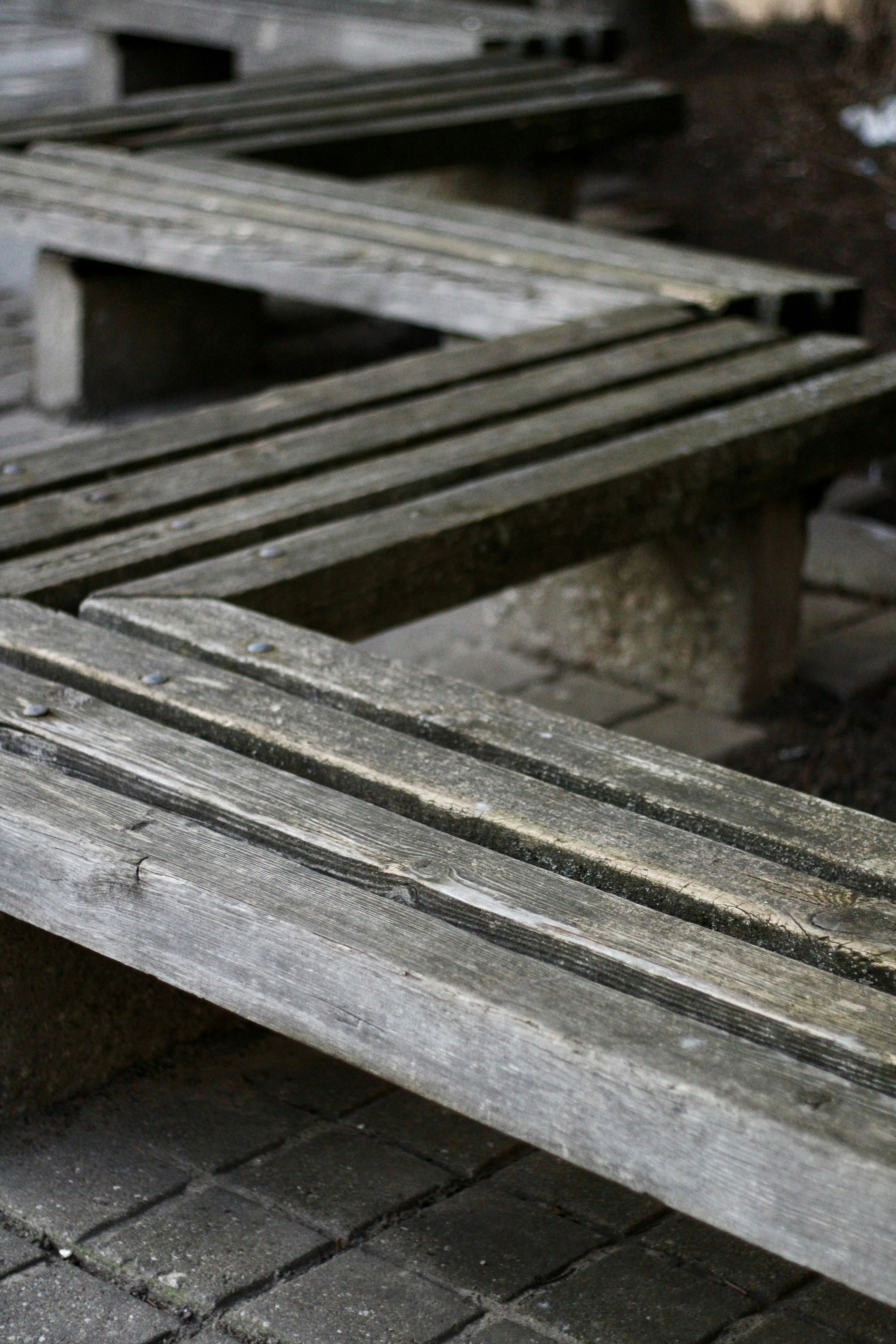 Photo by enamoradaaa