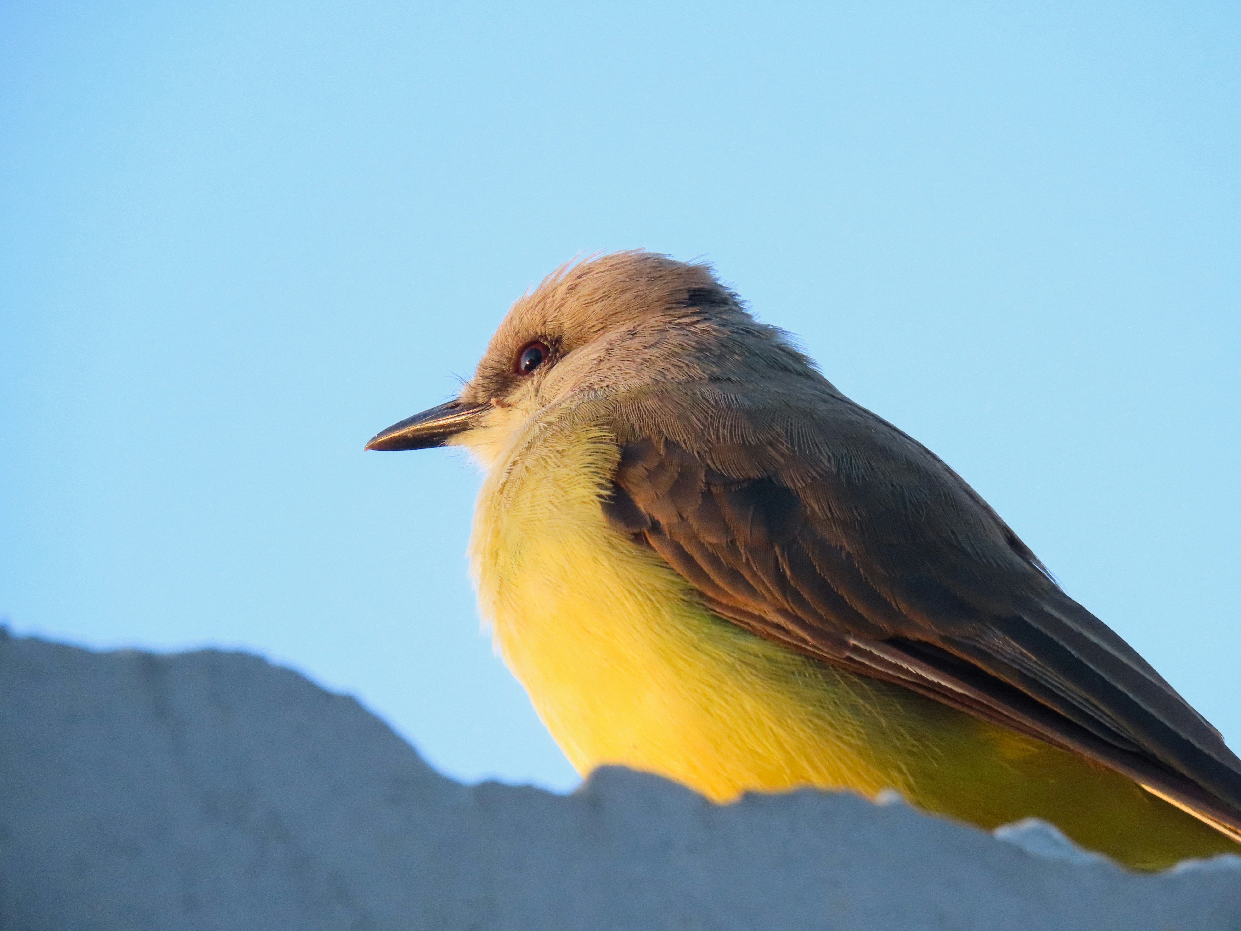 Photo by patricianicoloso