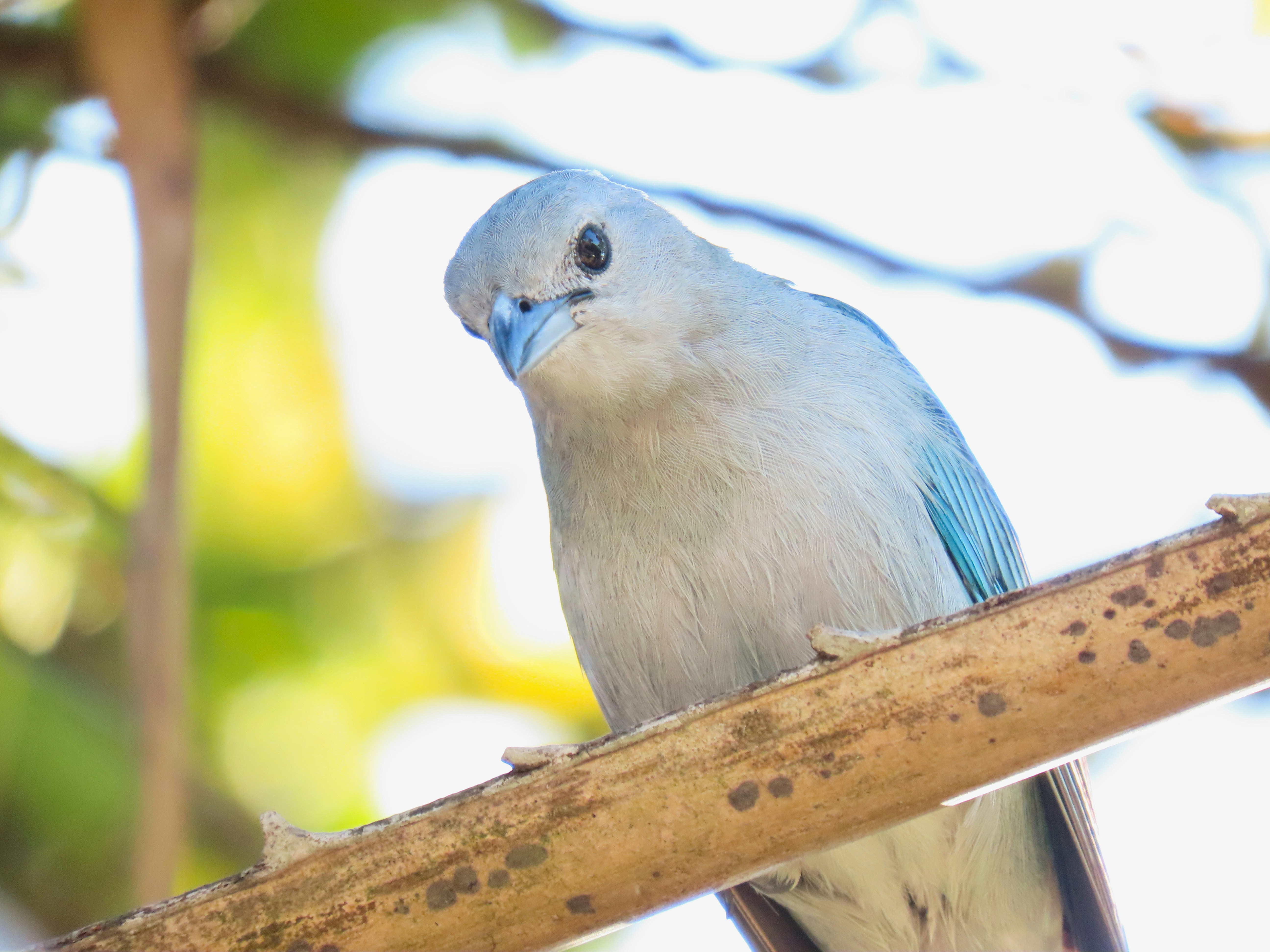 Photo by patricianicoloso