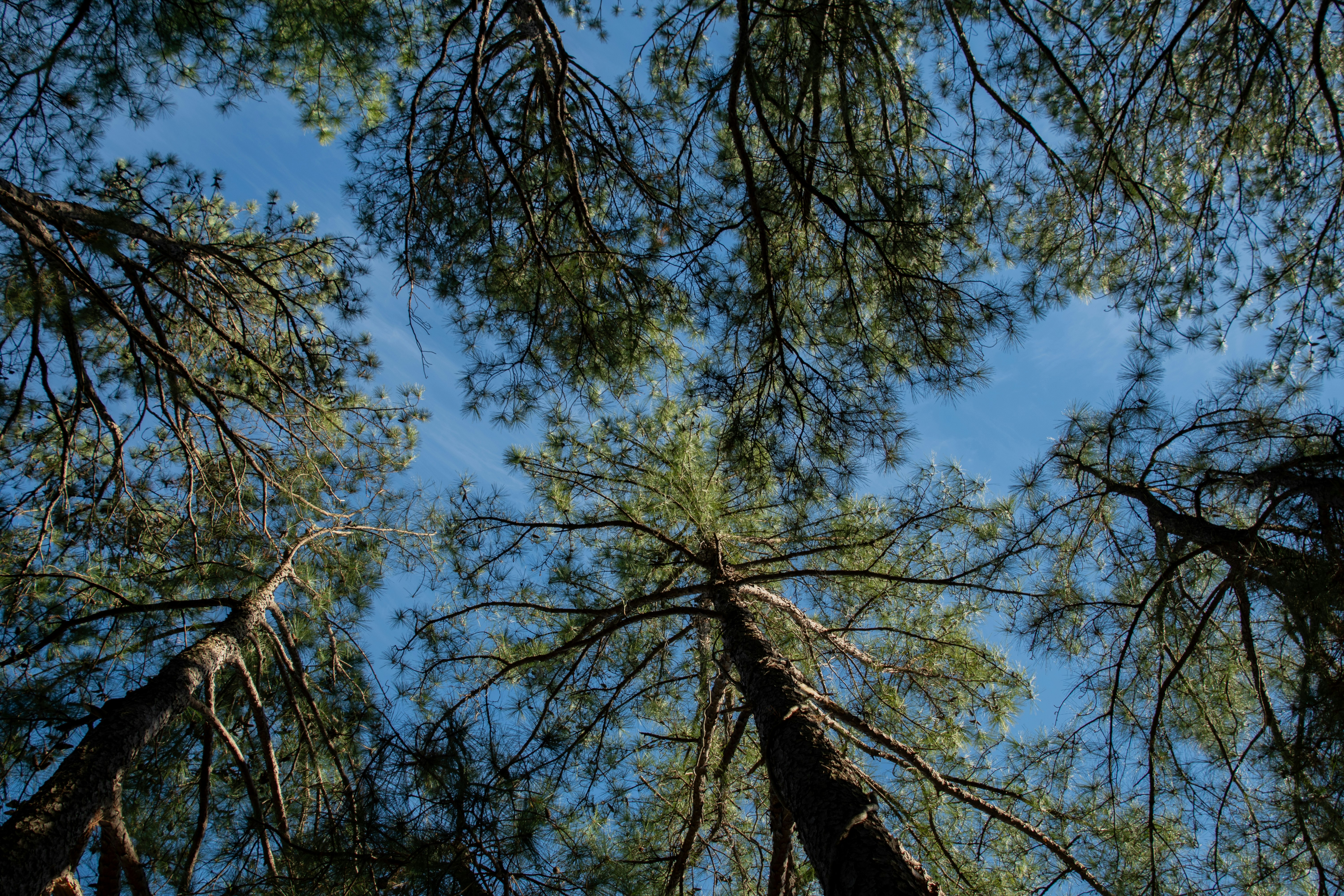 Photo by attaliehart