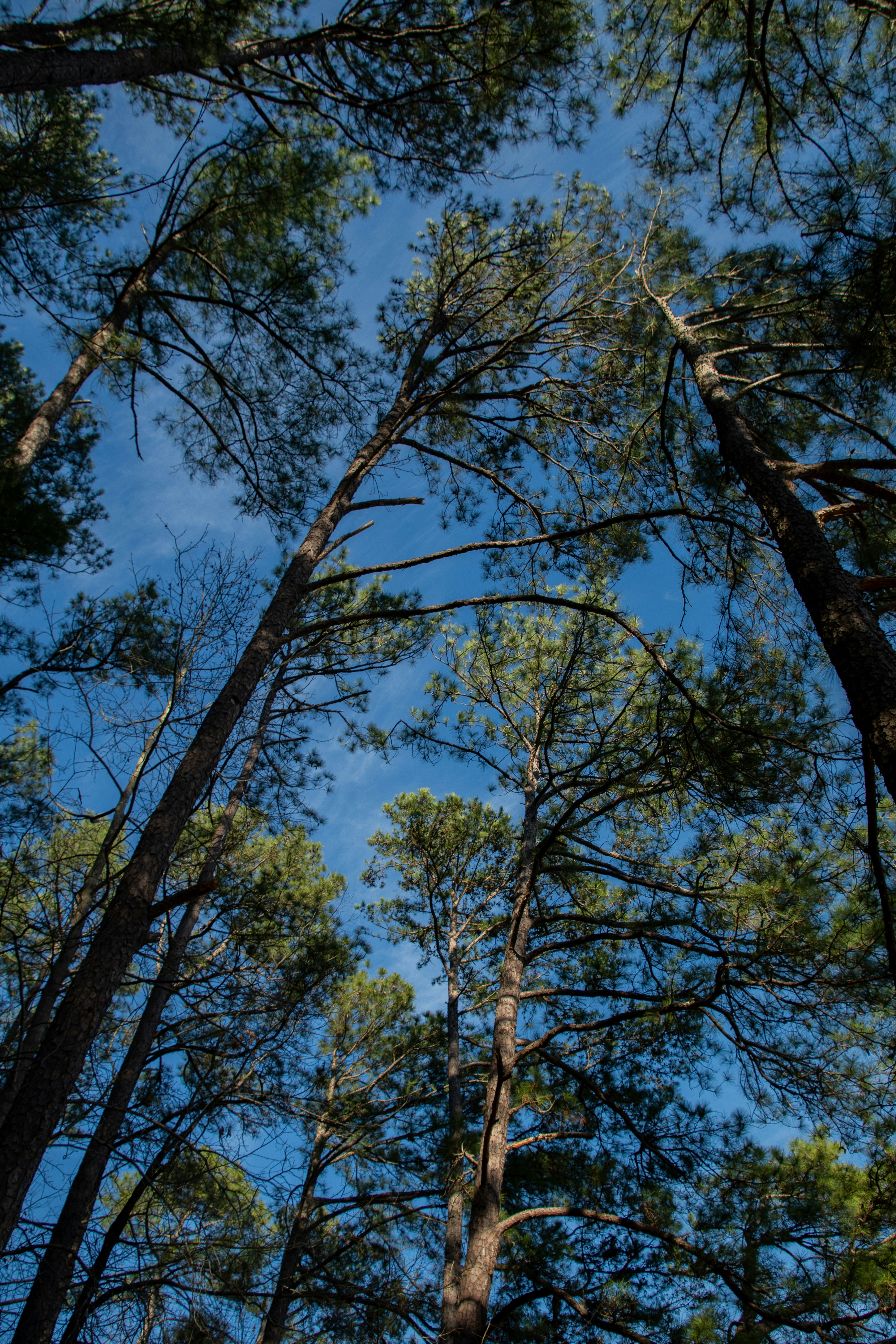 Photo by attaliehart