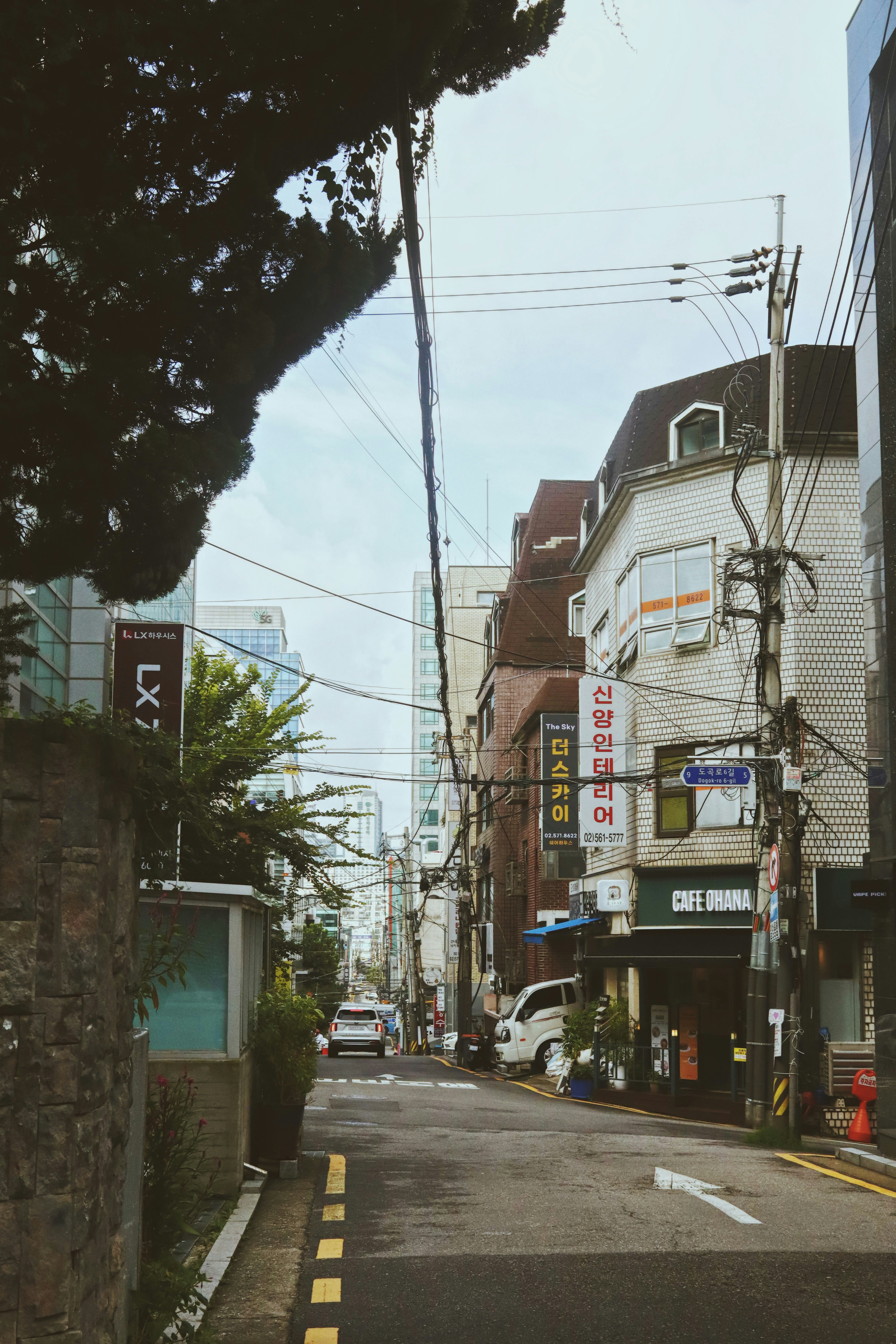 Photo by imaging_joy