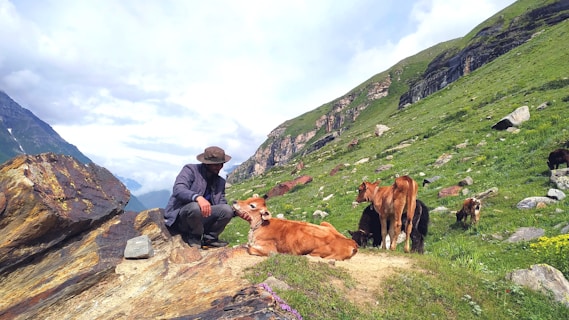 A man sitting on top of a lush green hillside