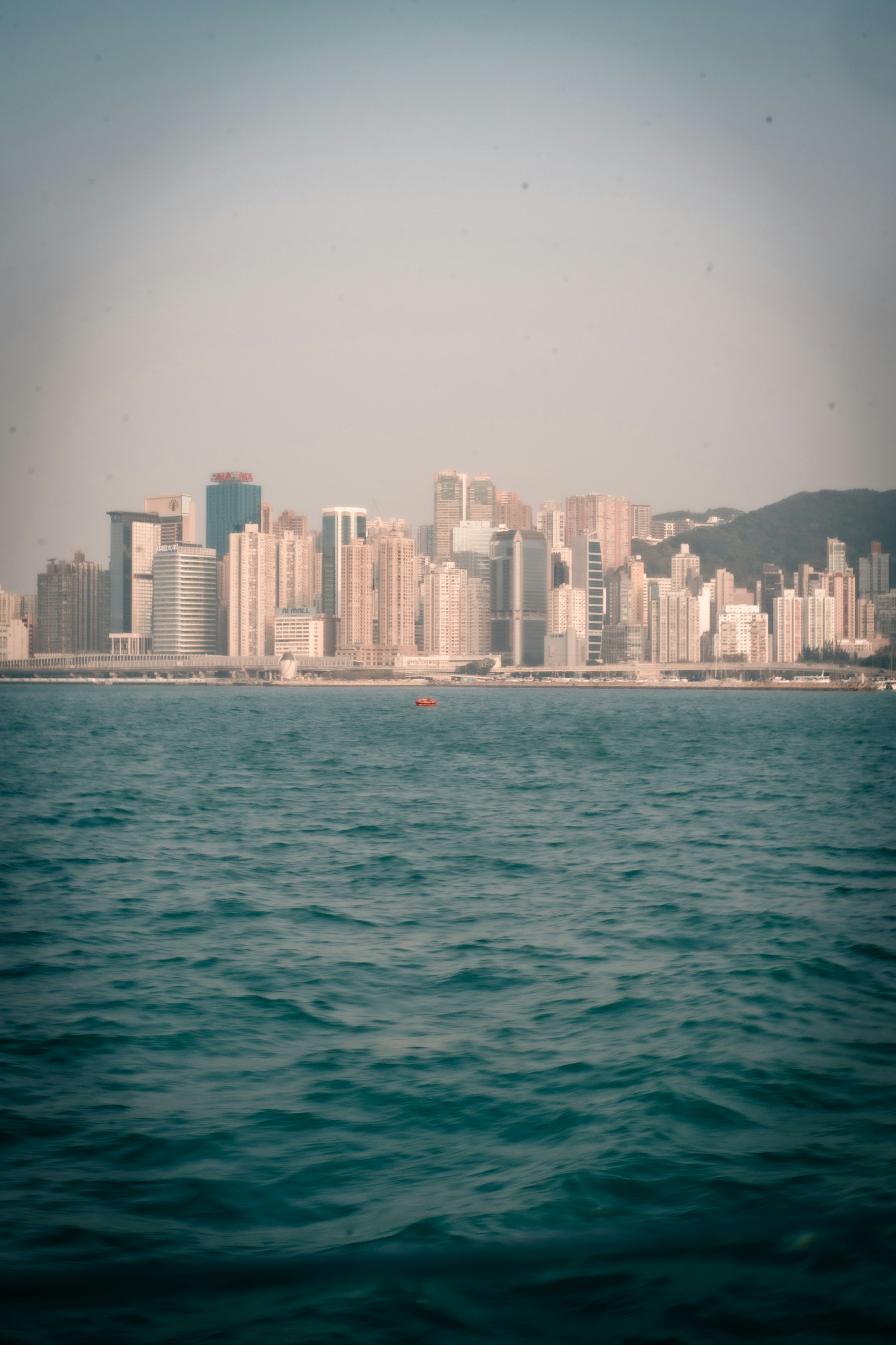 Photo by madeline_sd