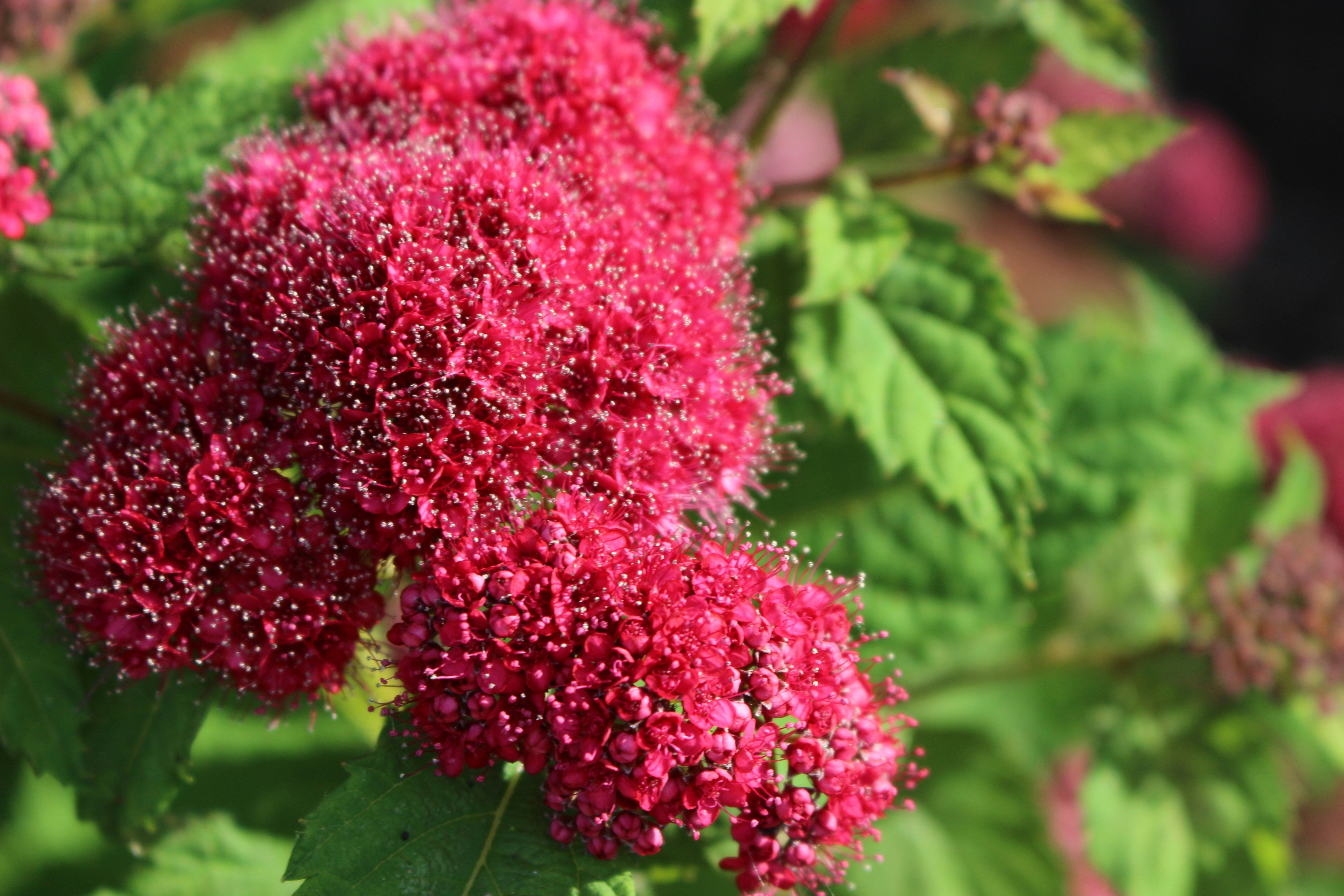 Photo by teagancross