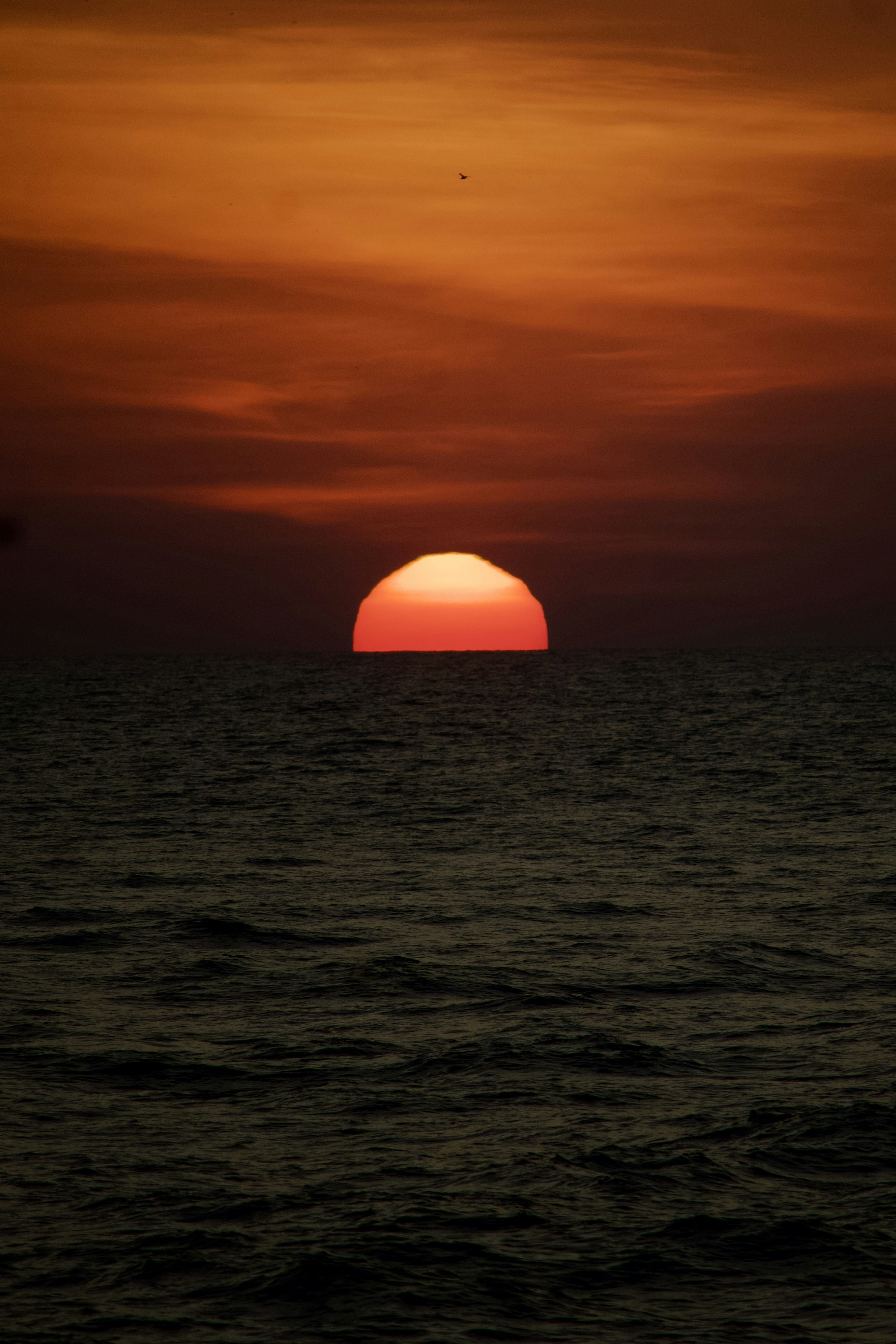 Photo by theushakiran