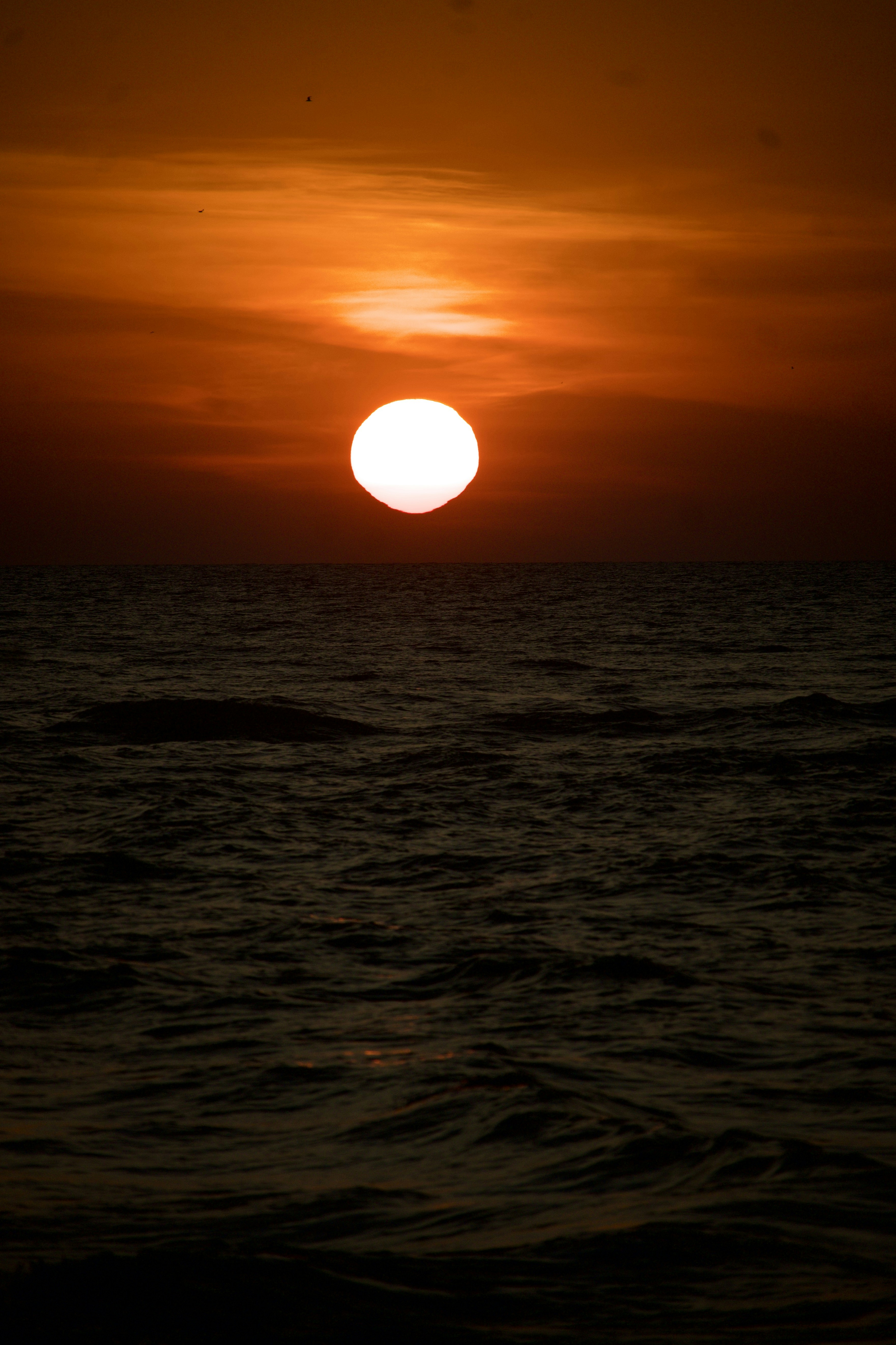 Photo by theushakiran