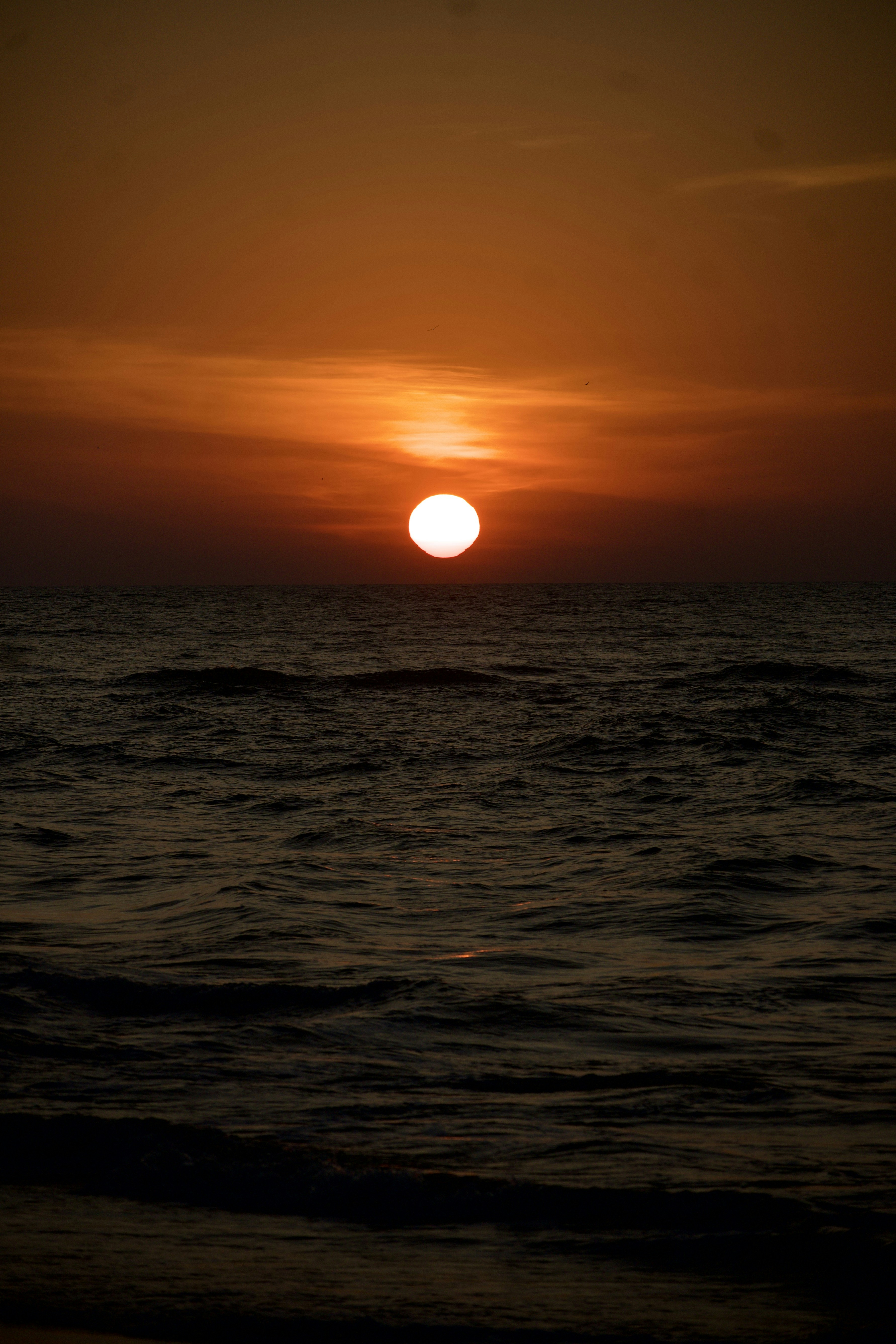 Photo by theushakiran