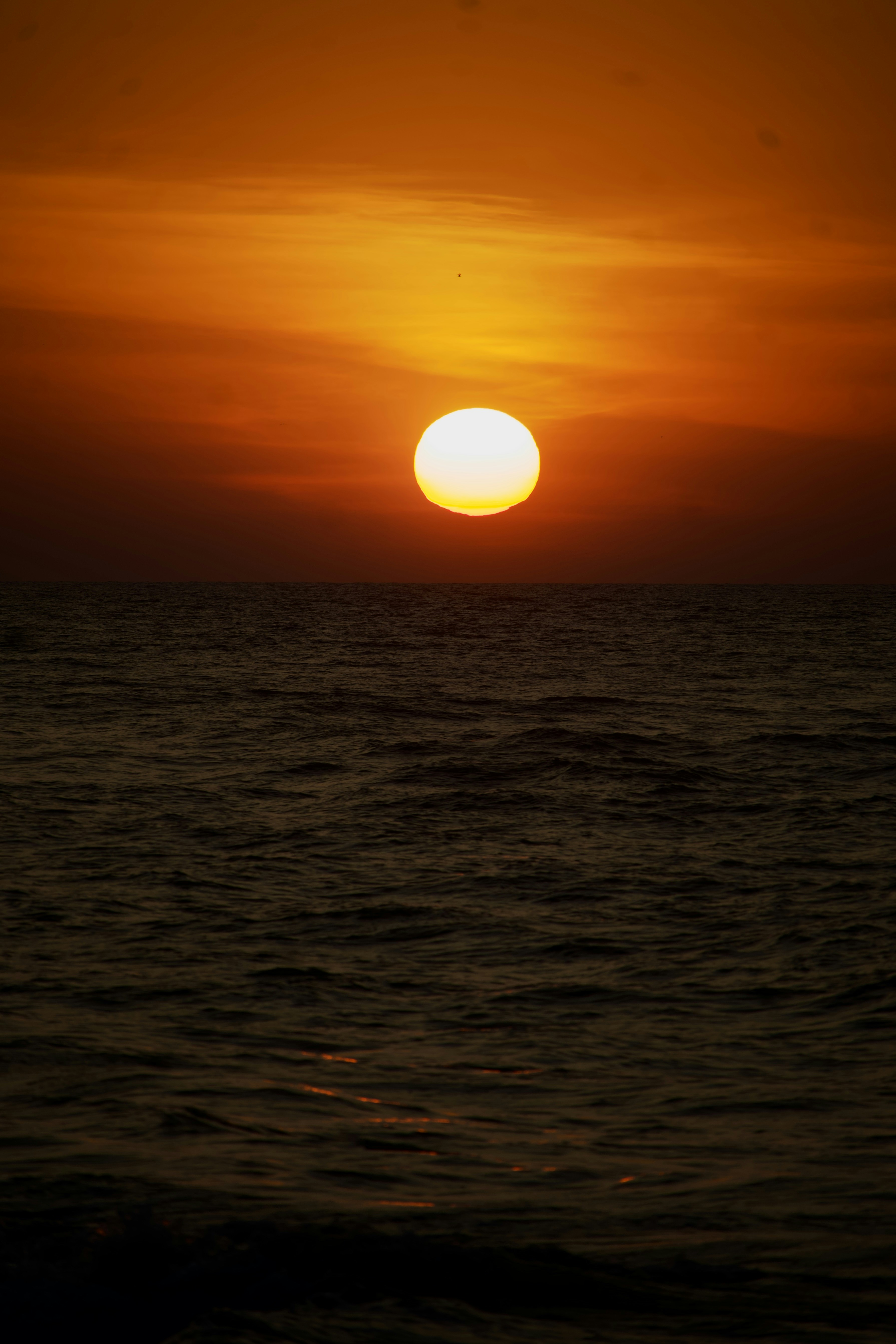 Photo by theushakiran