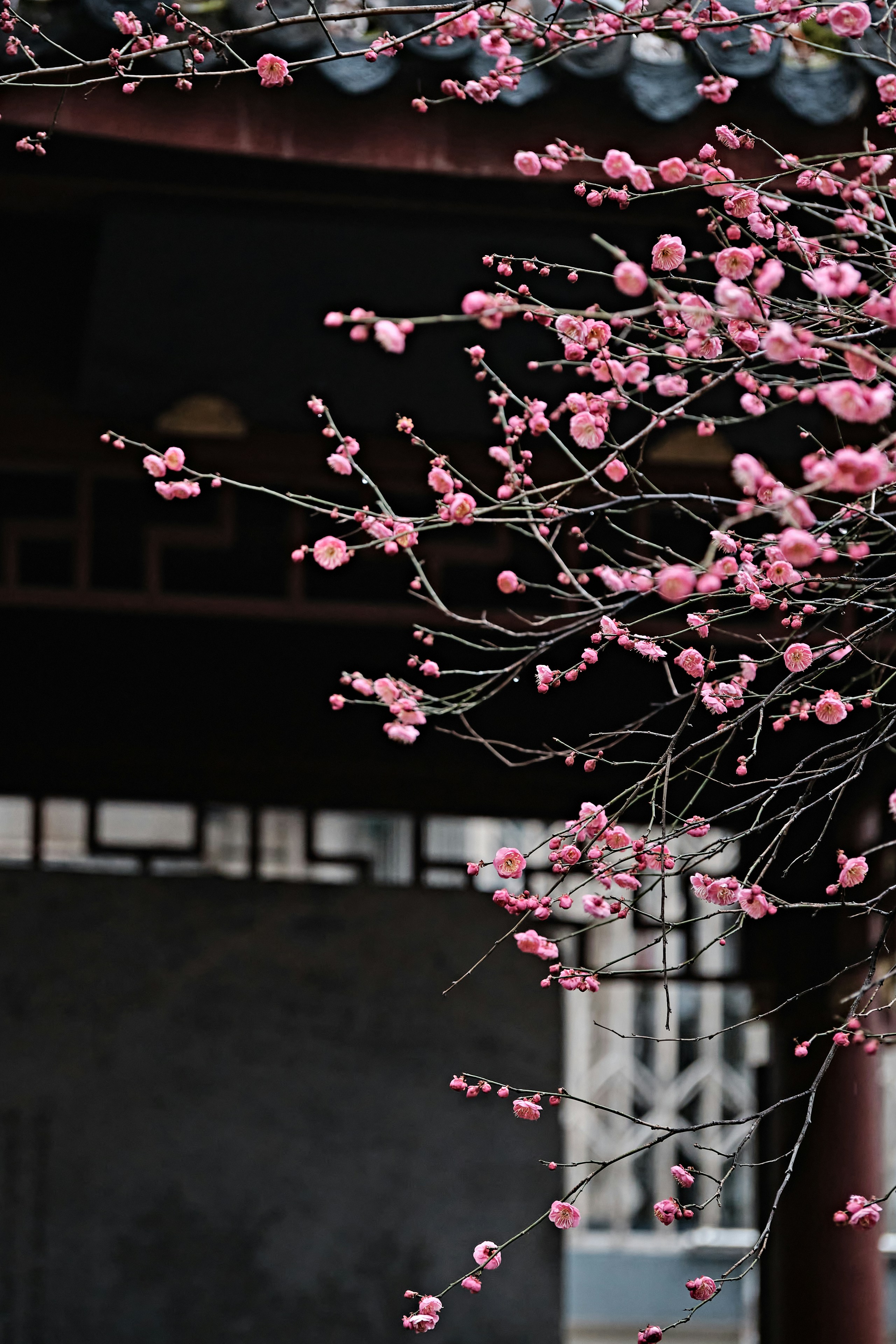 Photo by seelean