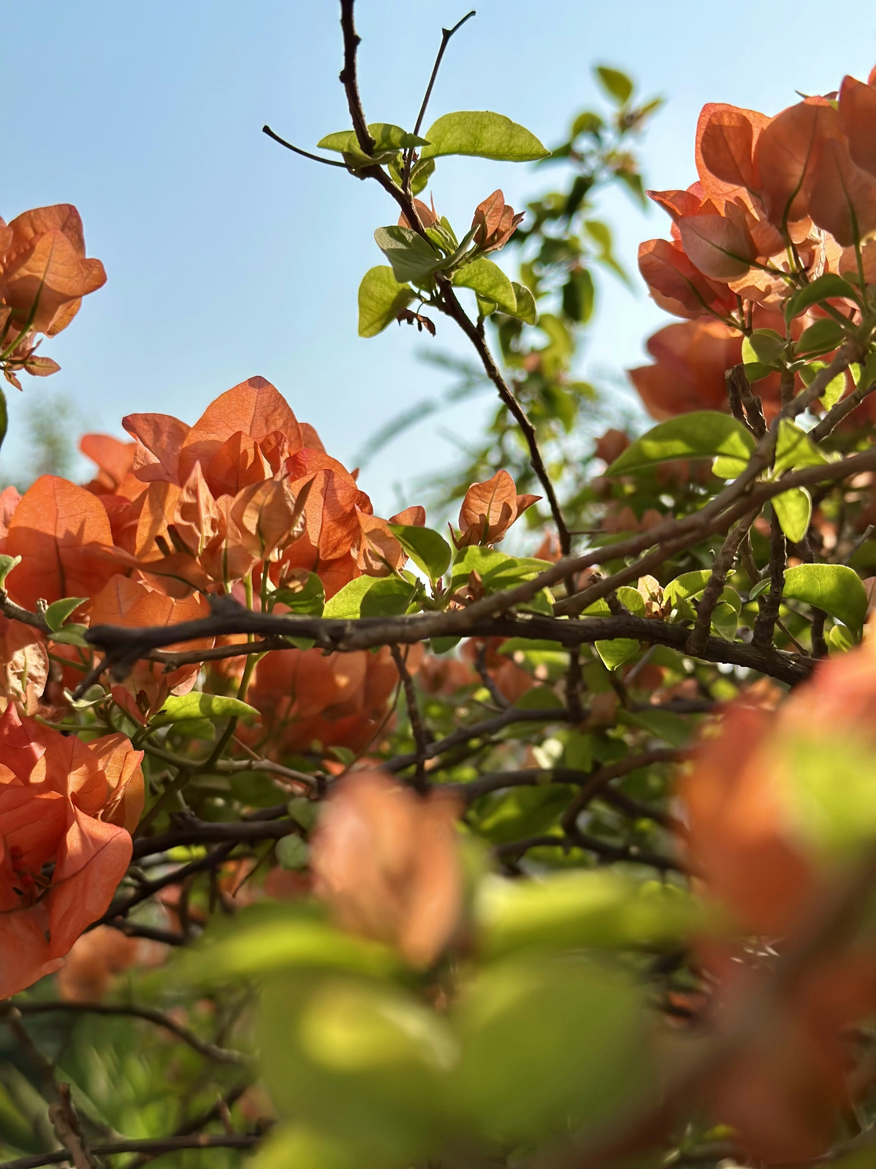 Photo by neelakshi_singh_