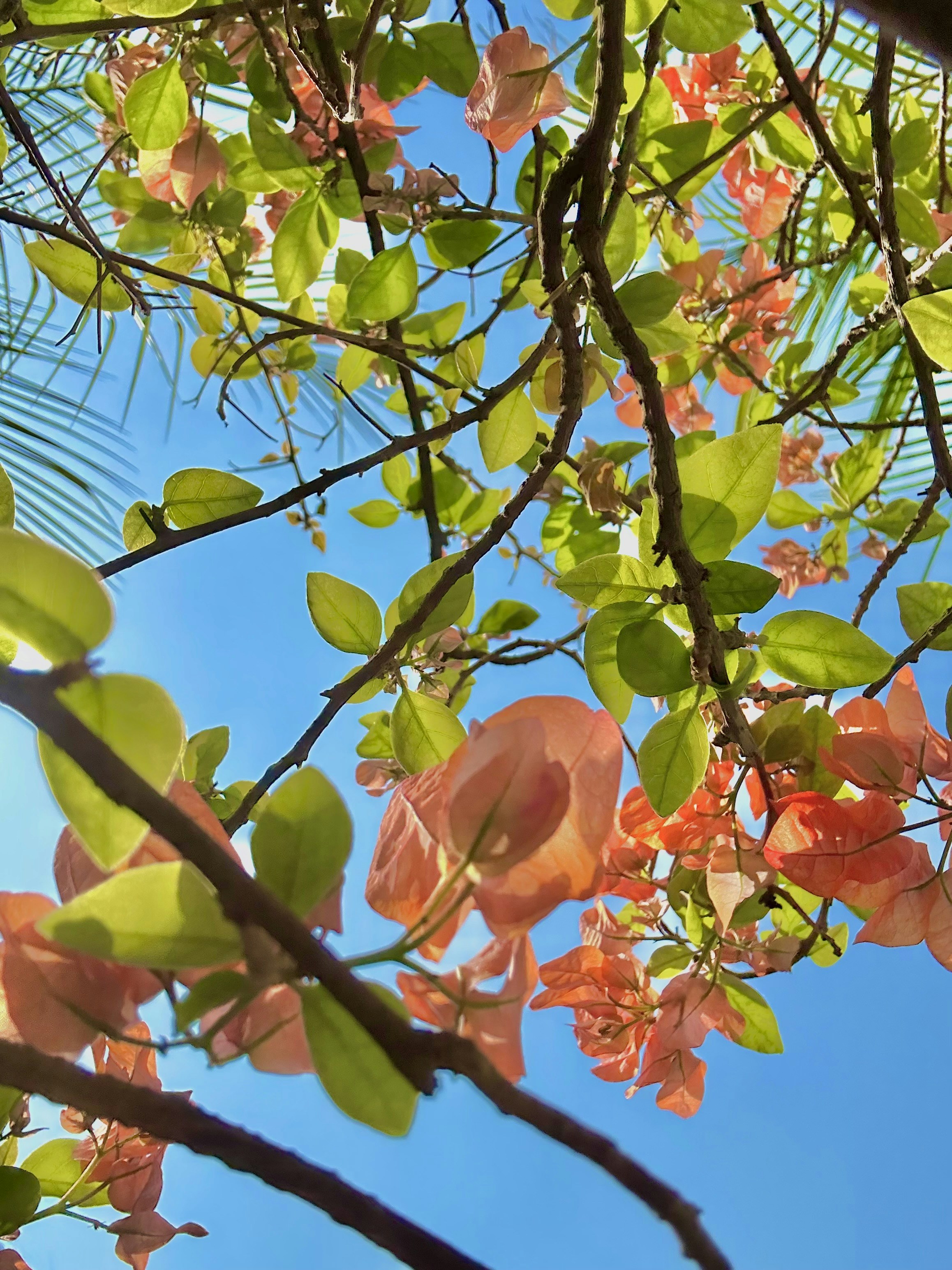 Photo by neelakshi_singh_