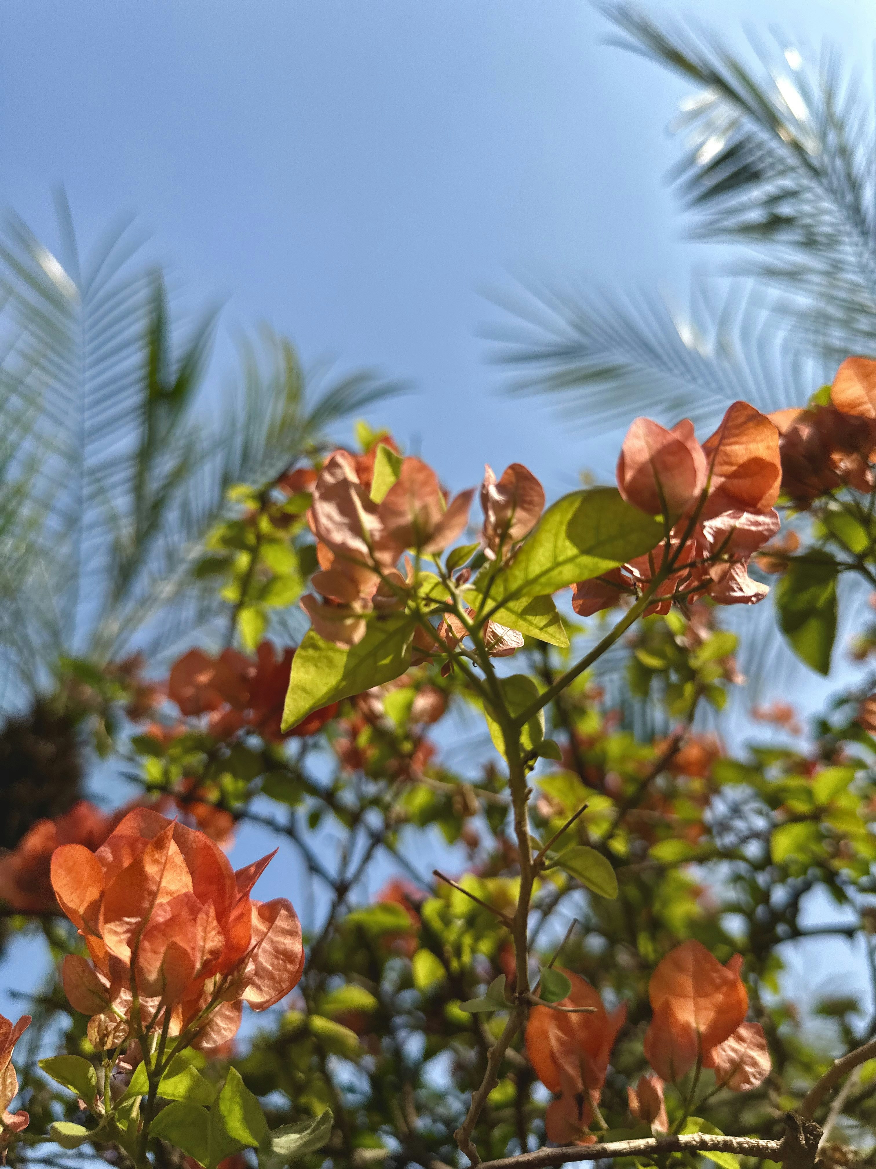 Photo by neelakshi_singh_