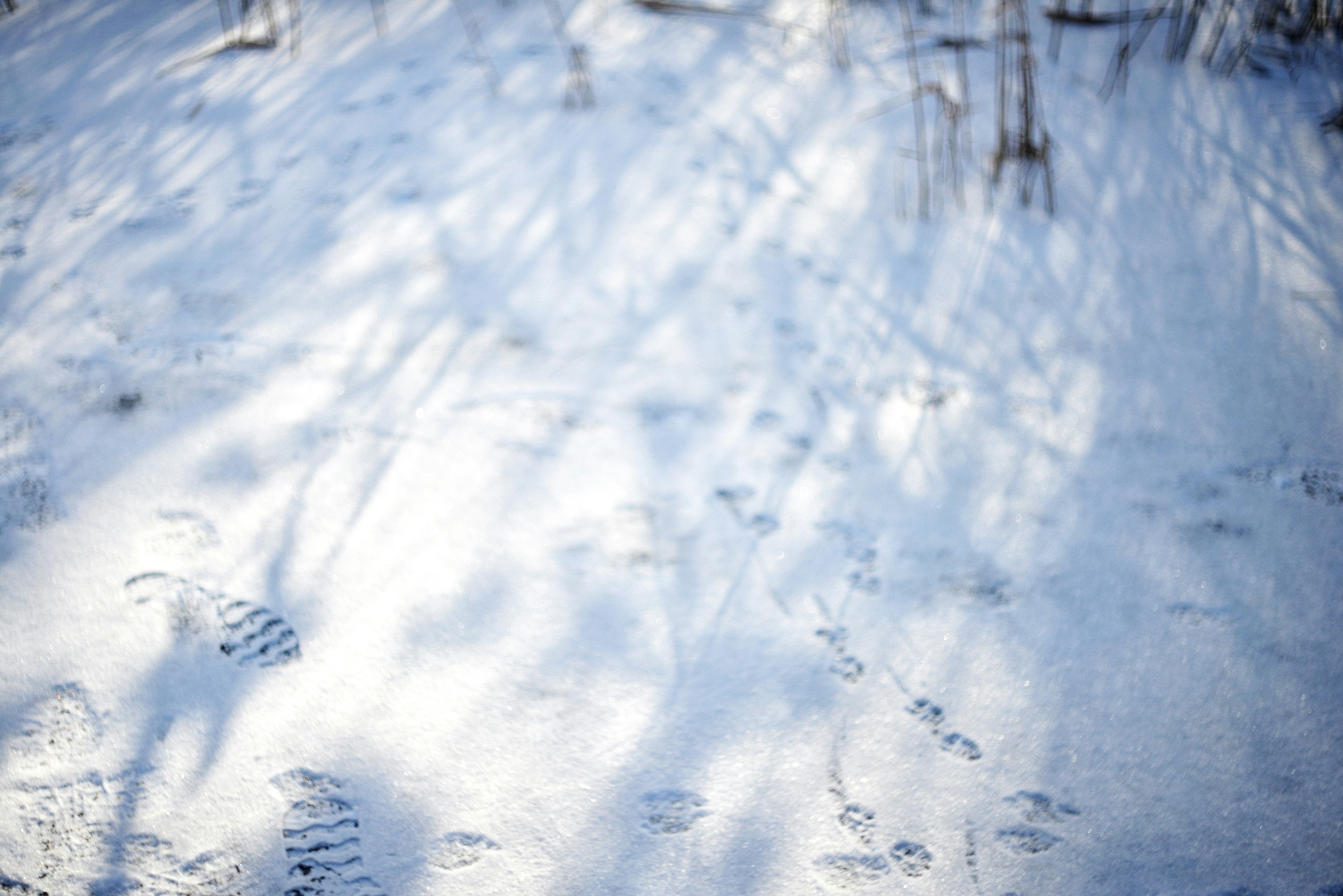 Photo by cherstve_pechivo