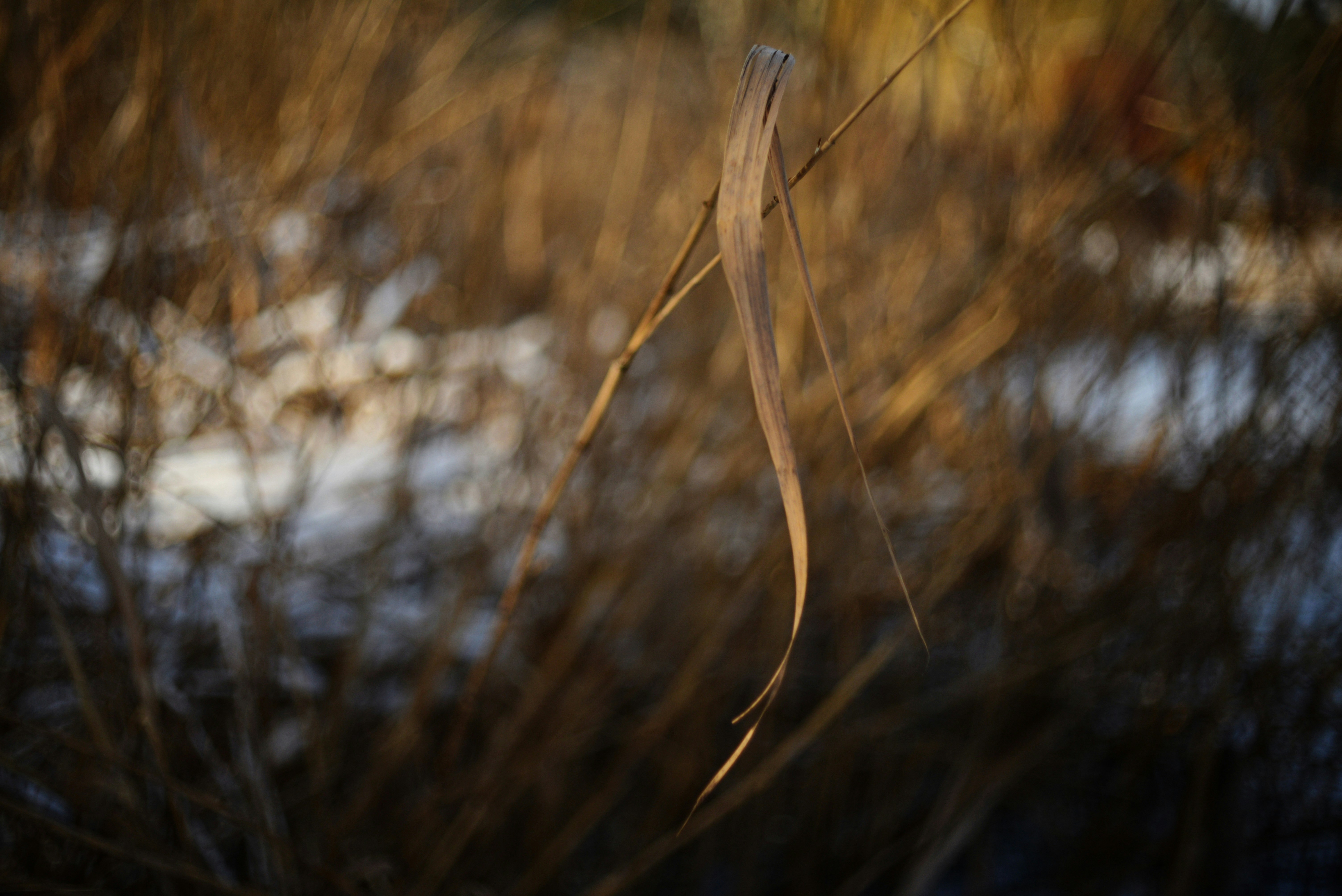 Photo by cherstve_pechivo