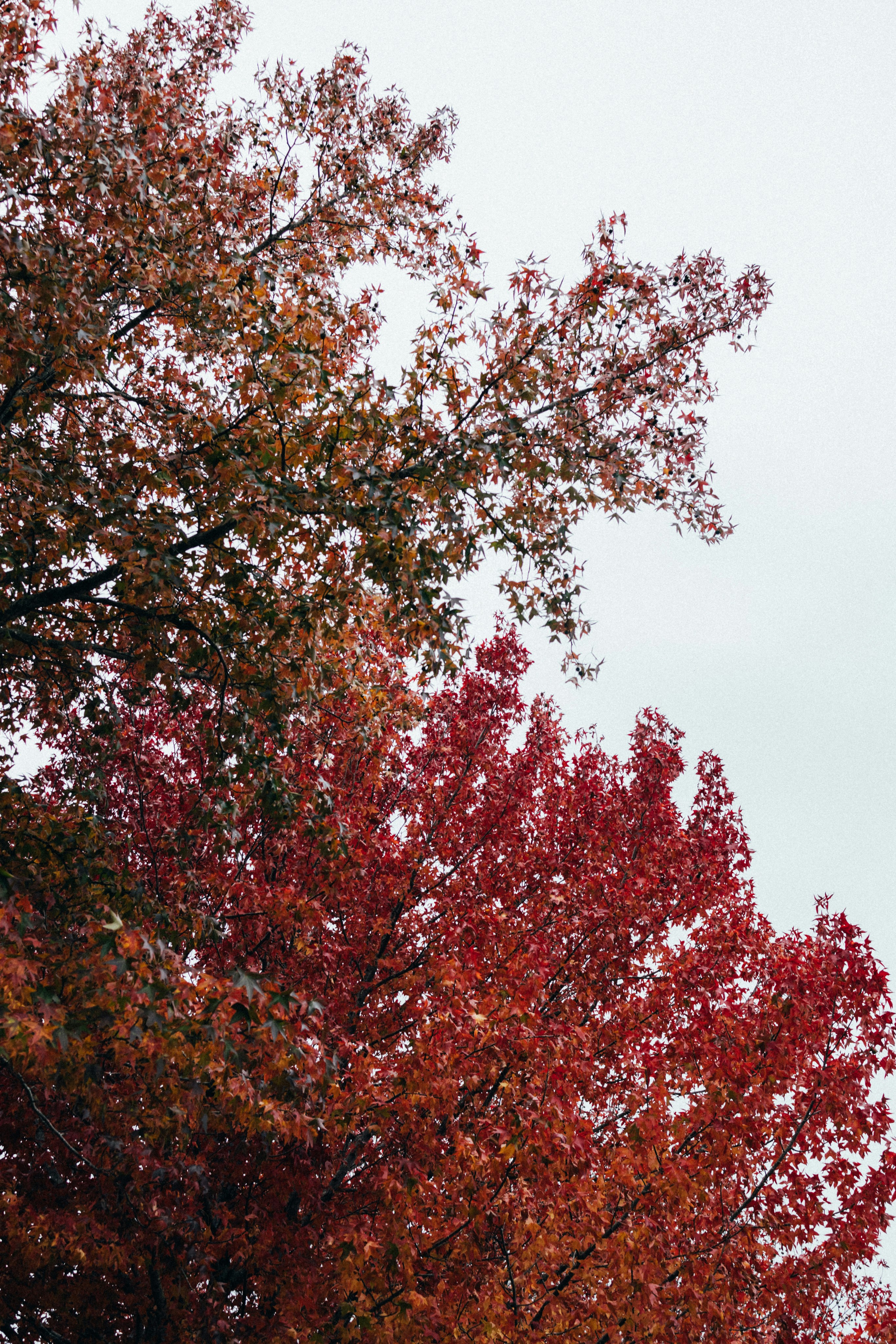 Photo by tsuyoshikozu