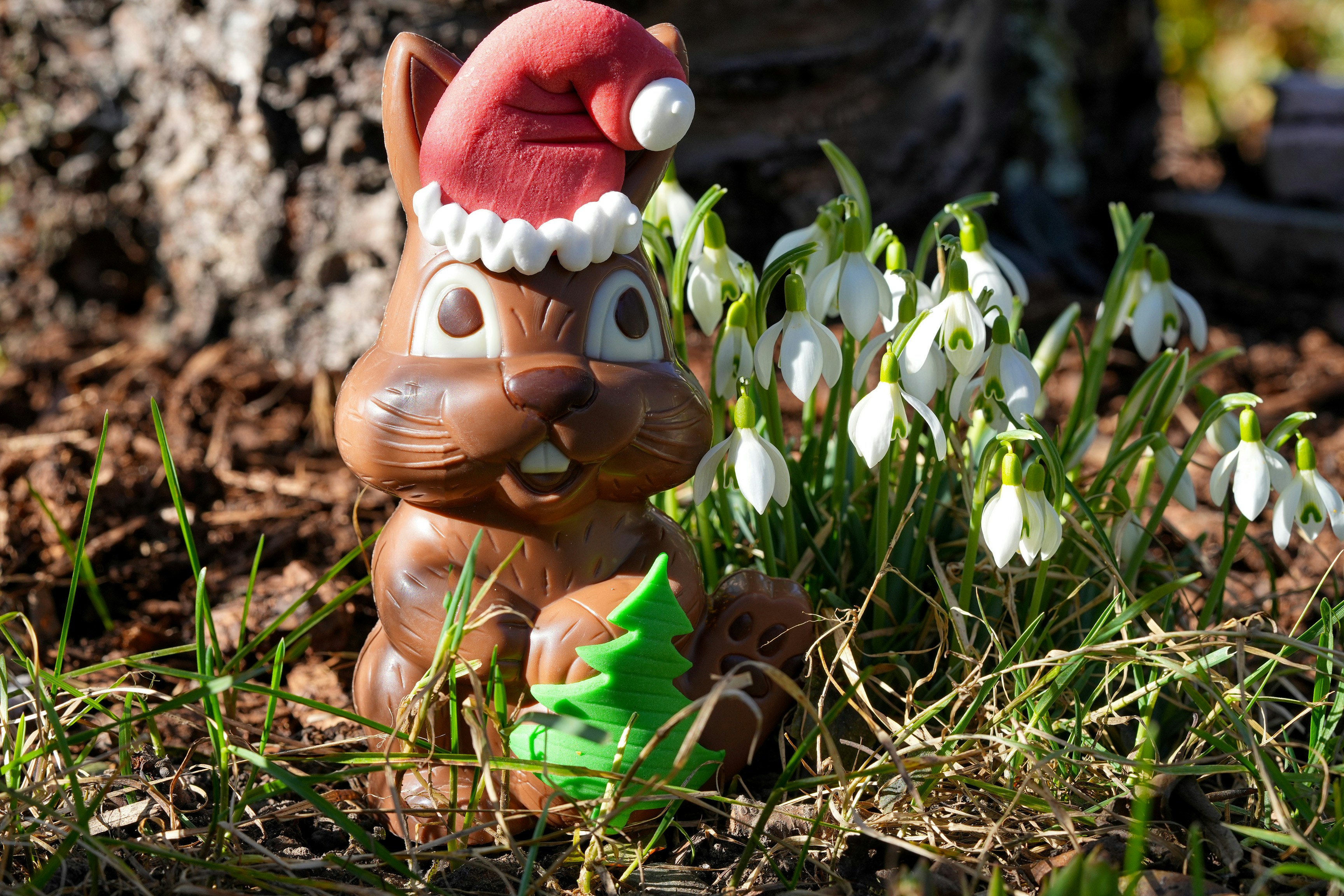 A toy squirrel in a santa hat sitting in the grass