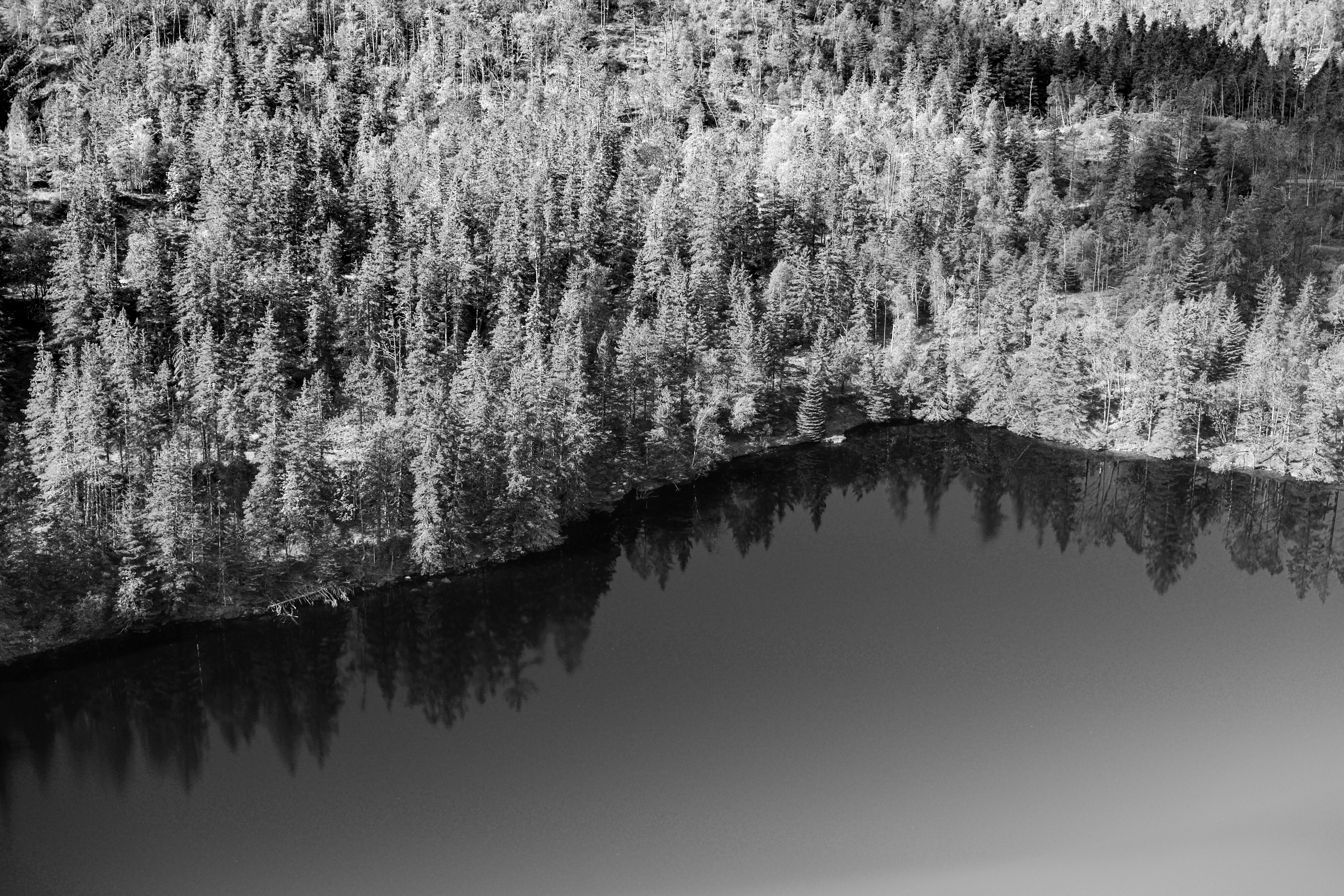 Photo by stuartkidd1973