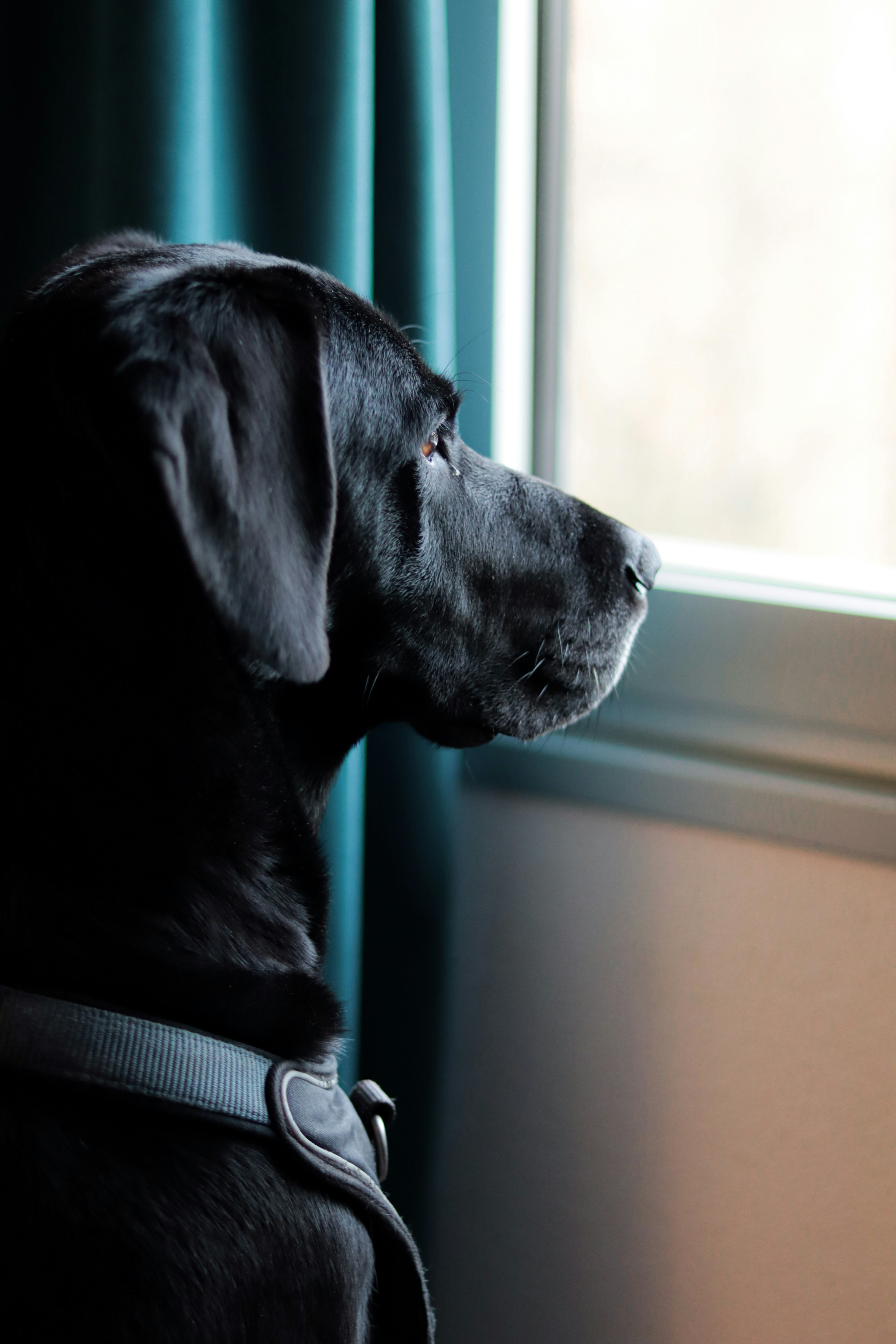 Photo by raw_negative_space