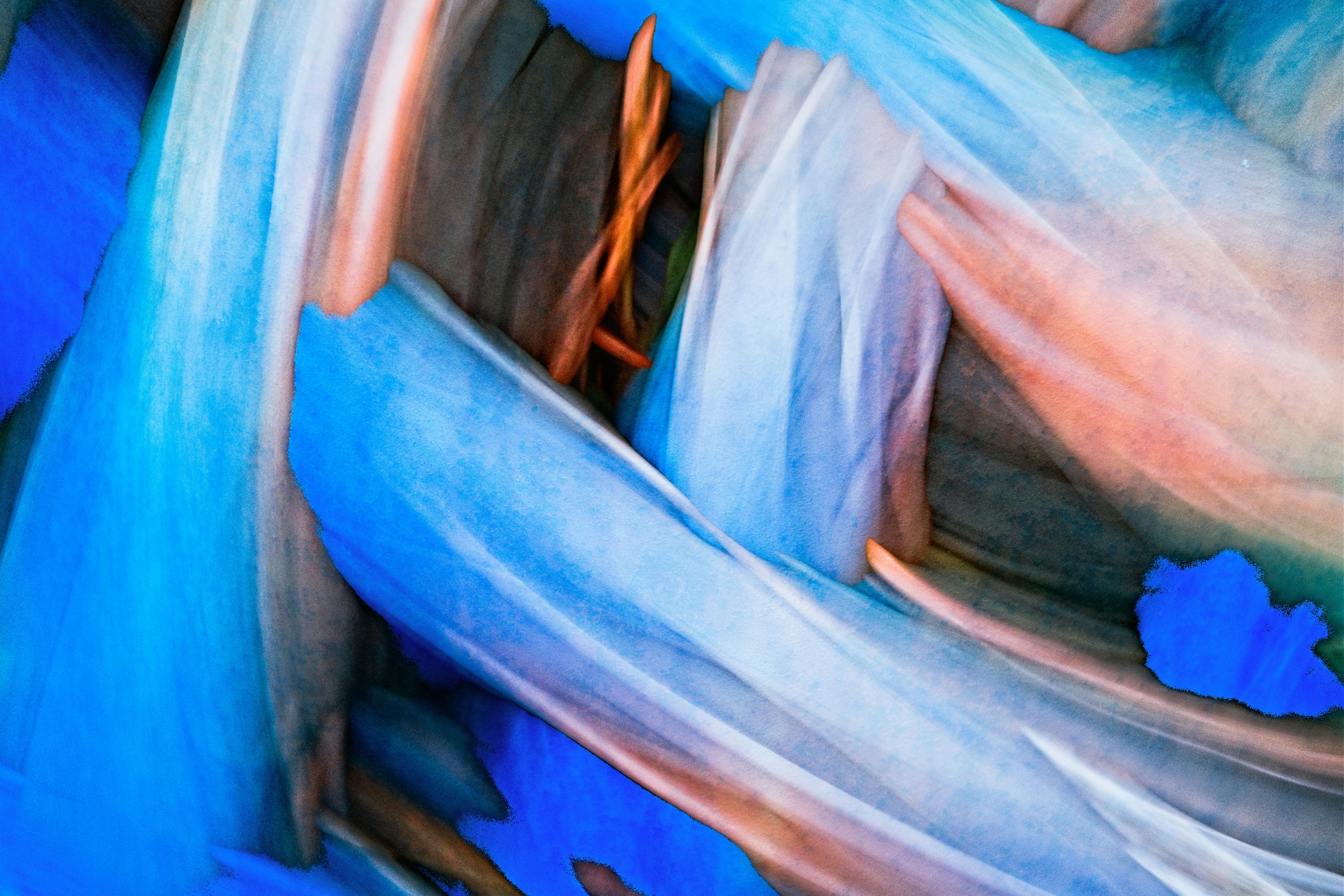 Photo by robert_clark