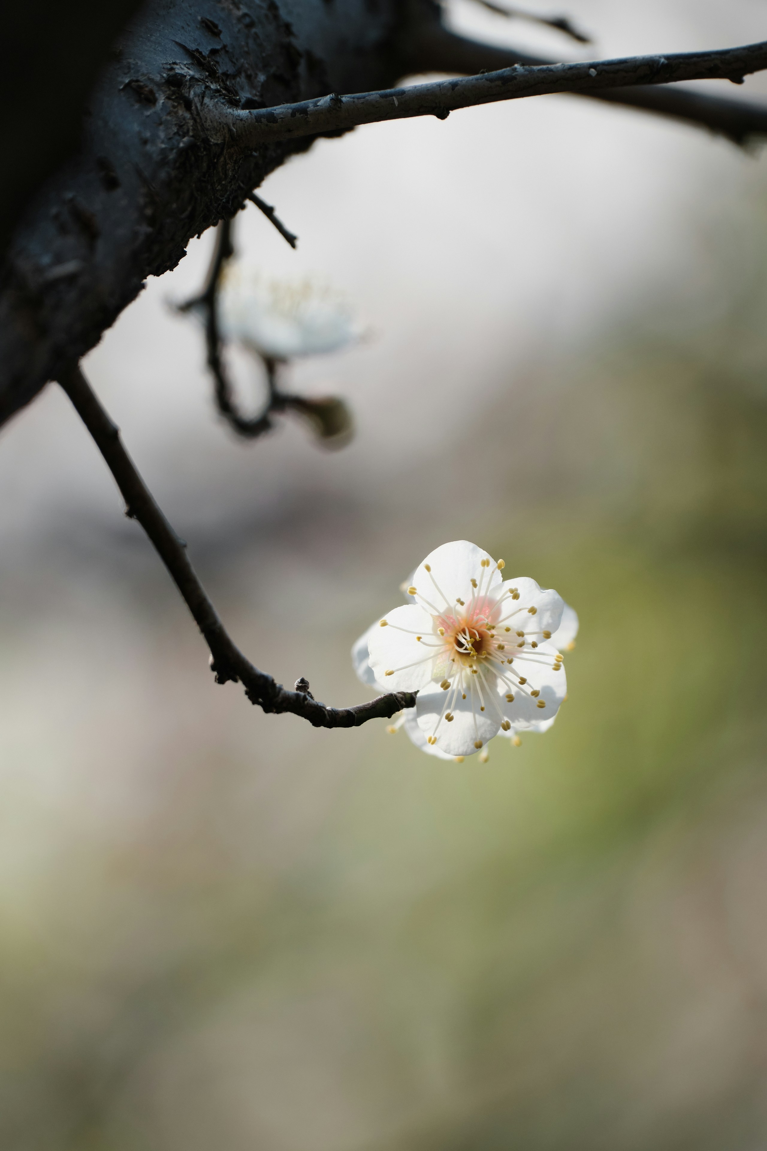 Photo by seelean
