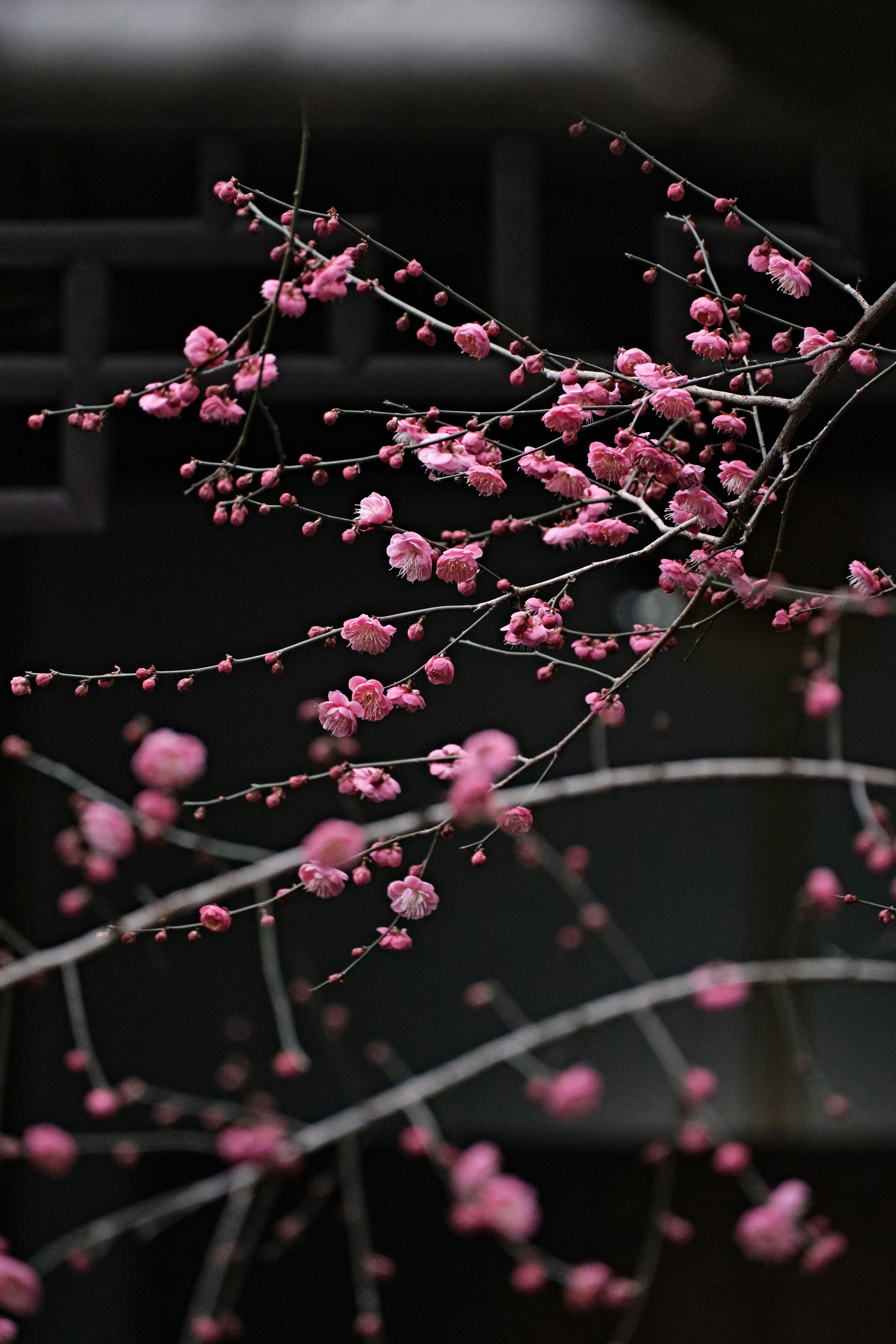 Photo by seelean