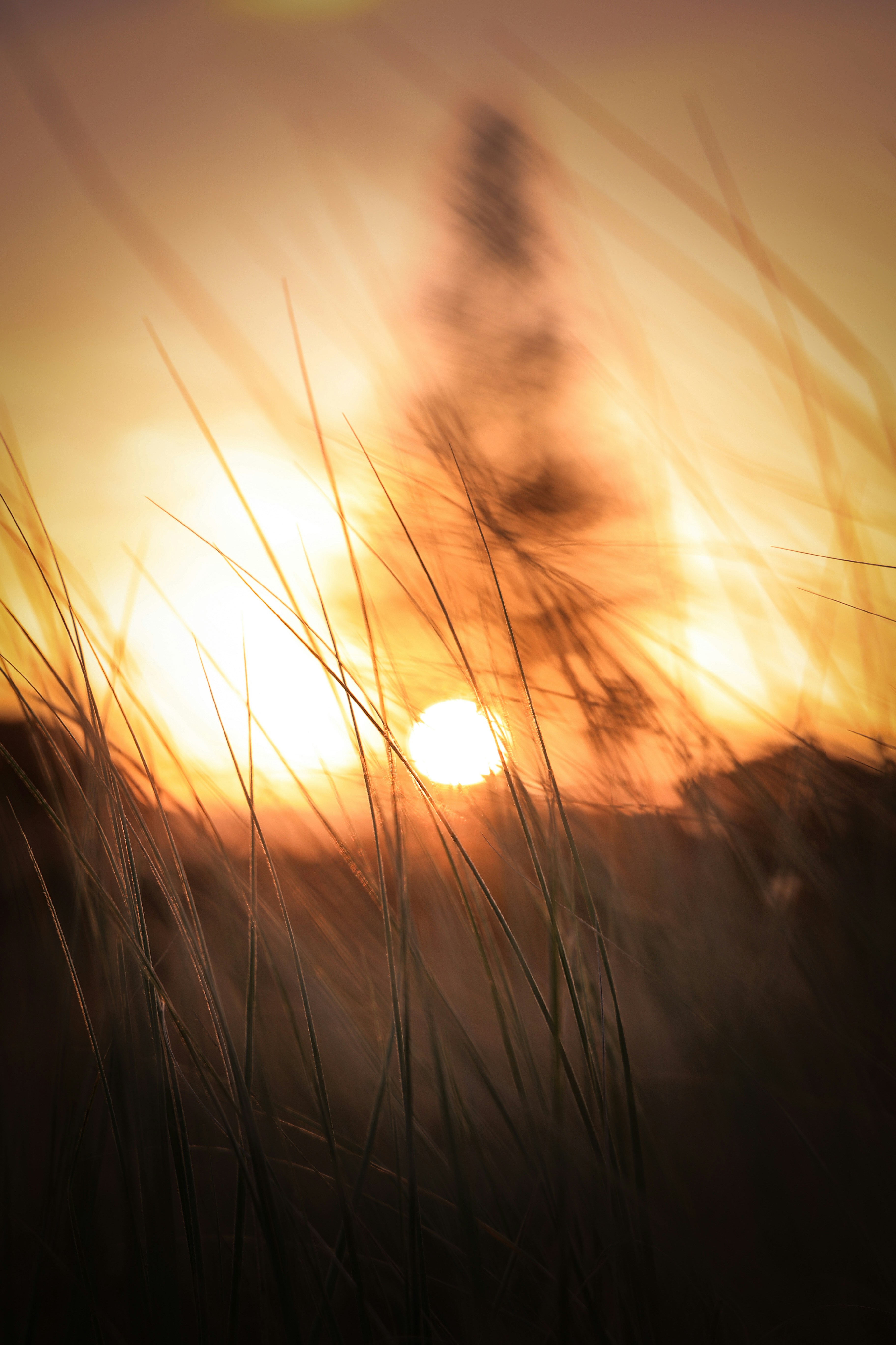 Photo by larisarunova