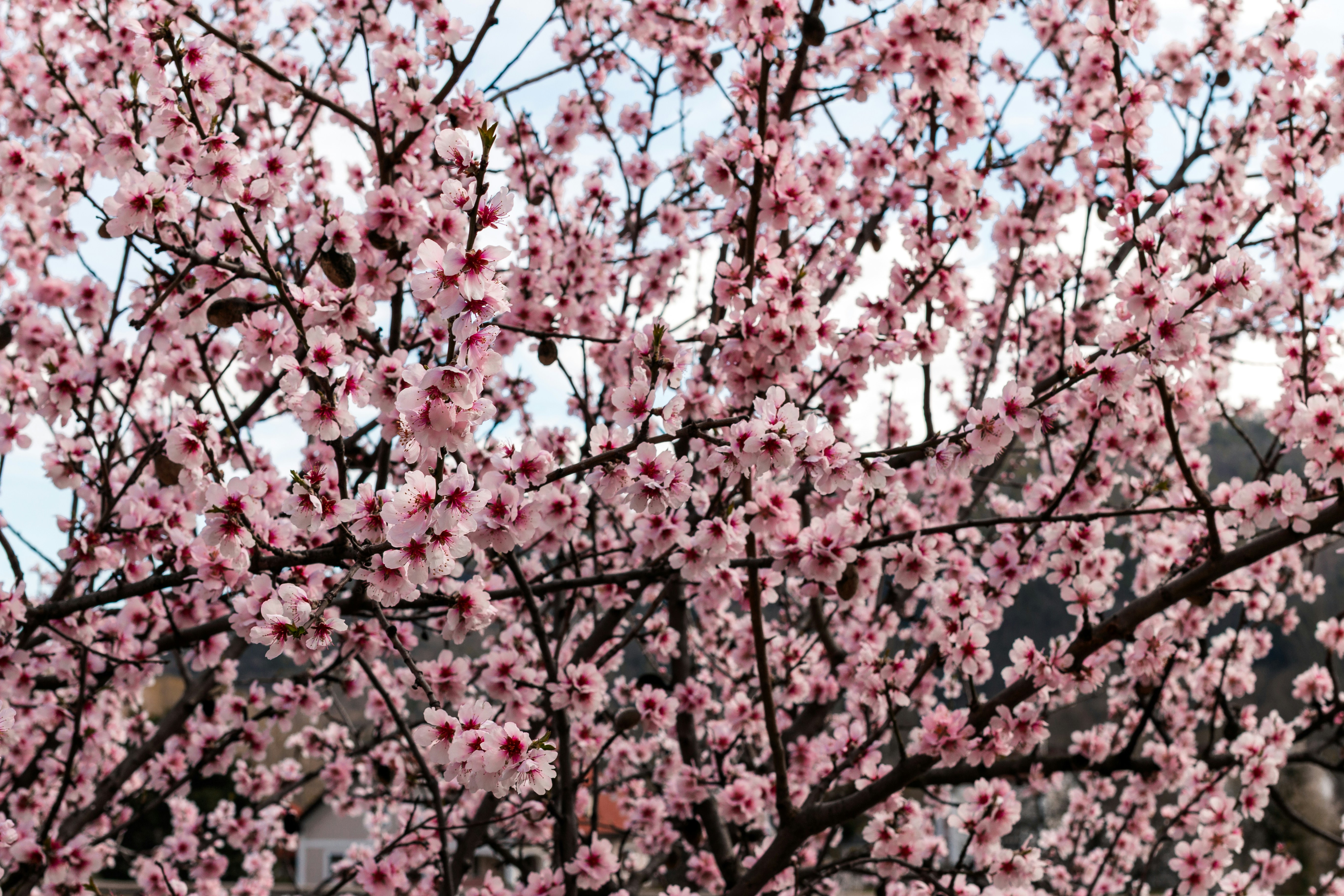 Photo by rvasilovski