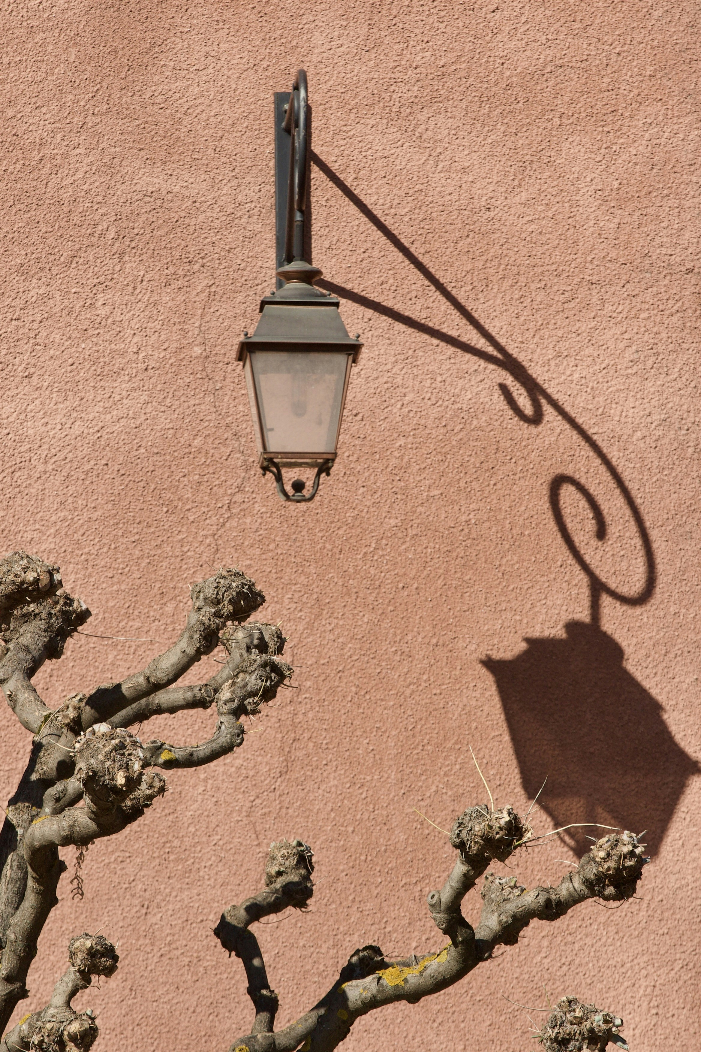 terracotta wallpaper aesthetic, wallpaper, Terracotta Decor: Small Apartment on a Budget 5