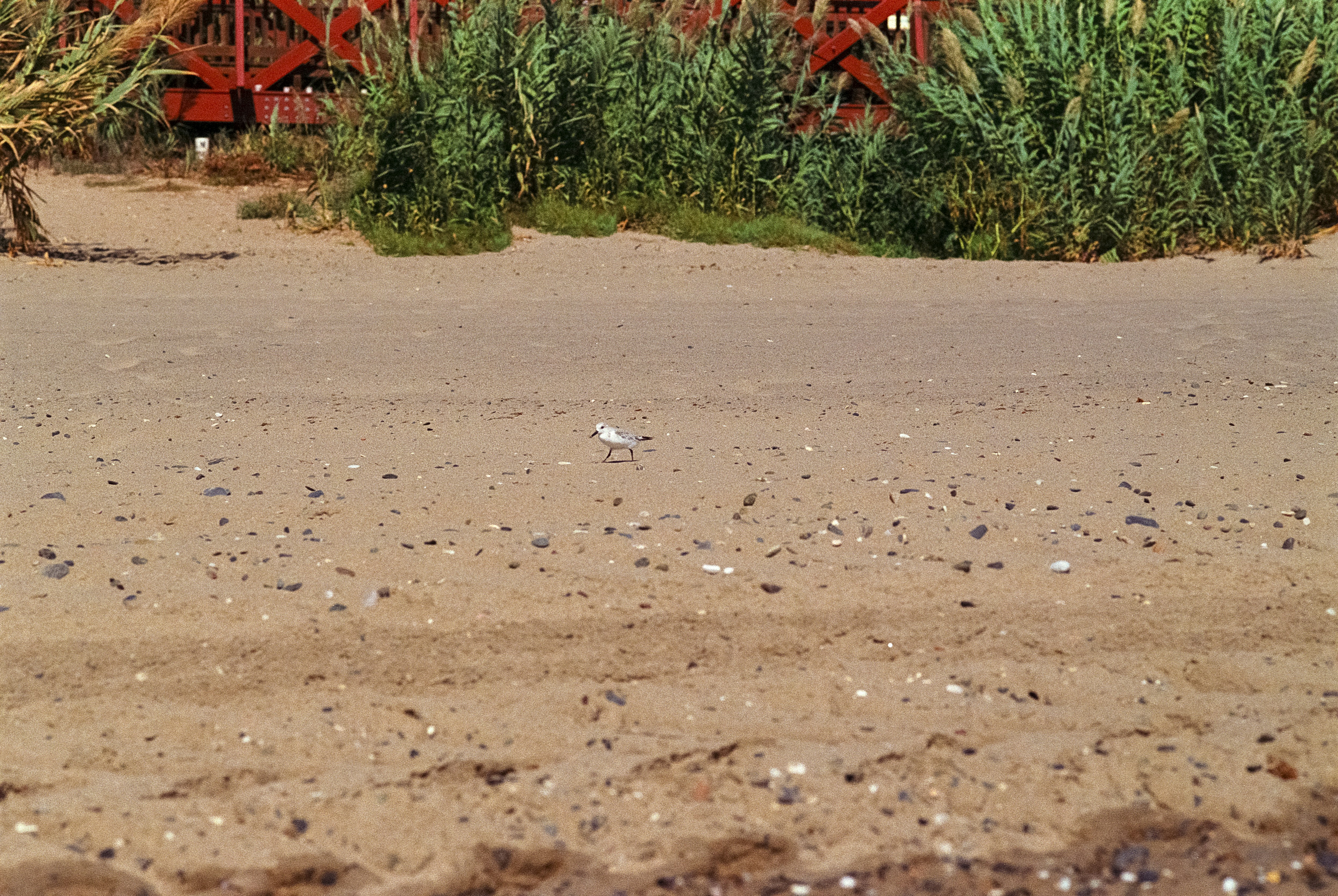Playa de Las Chapas en Marbella