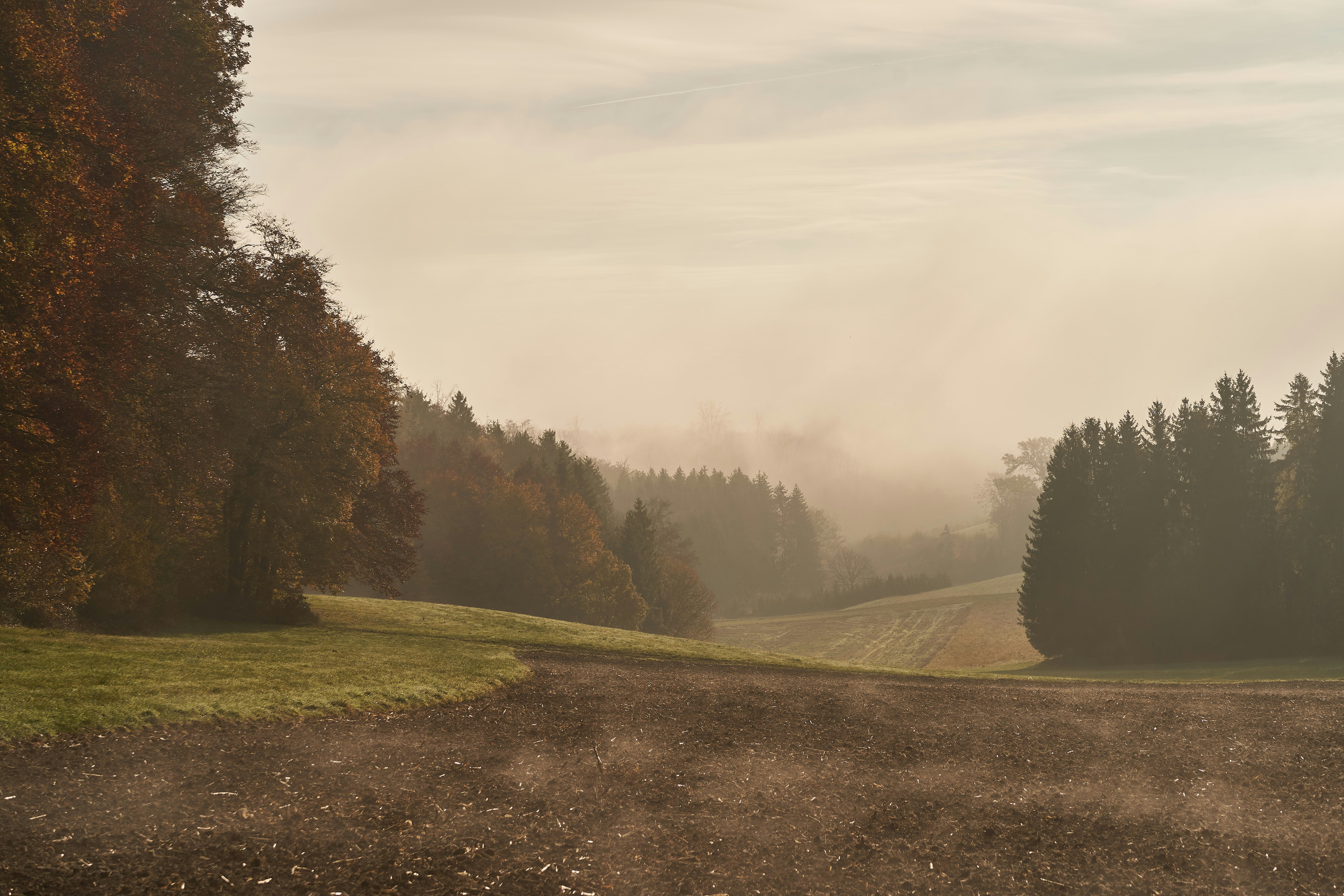 Photo by wolfgang_hasselmann