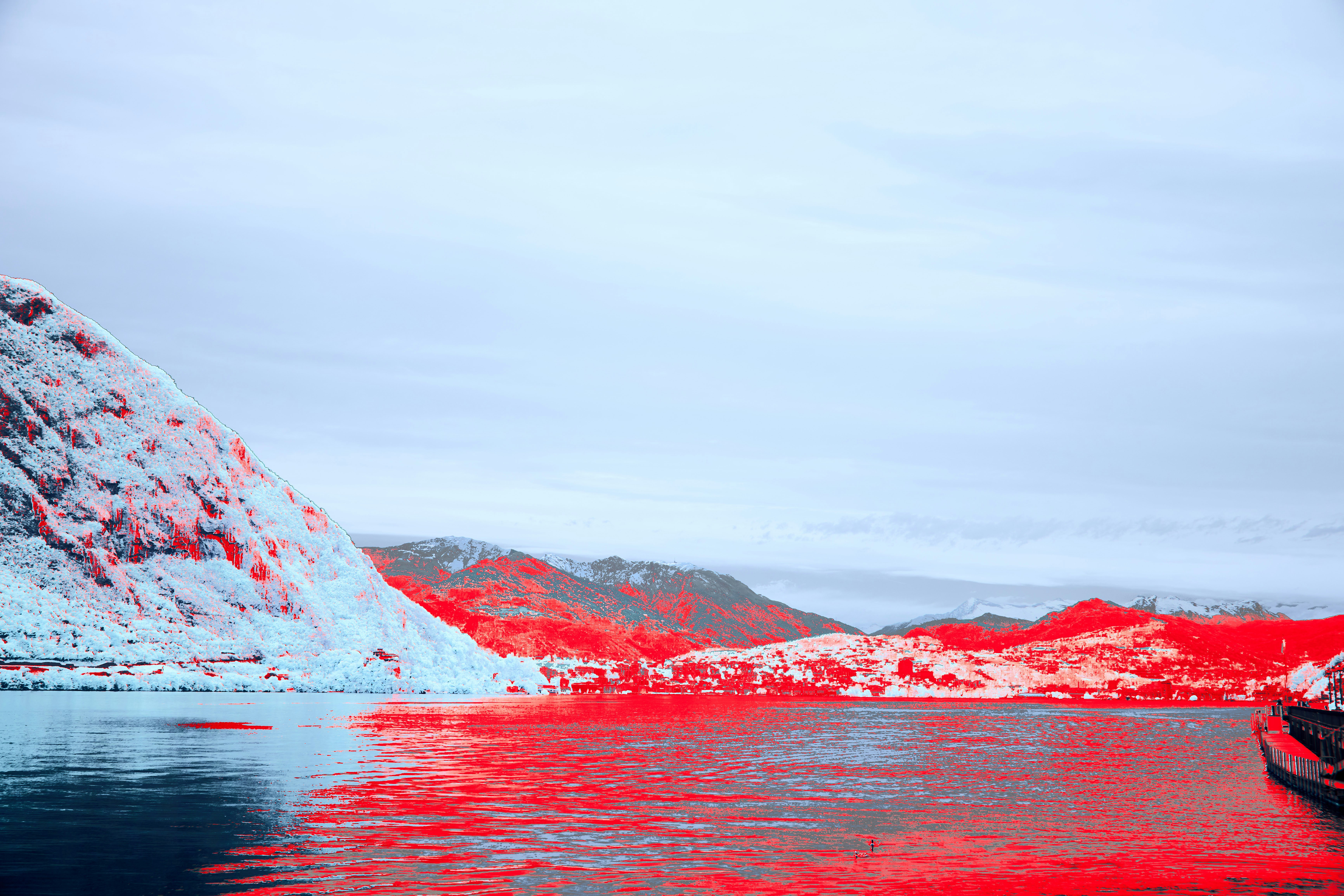 Photo by wolfgang_hasselmann