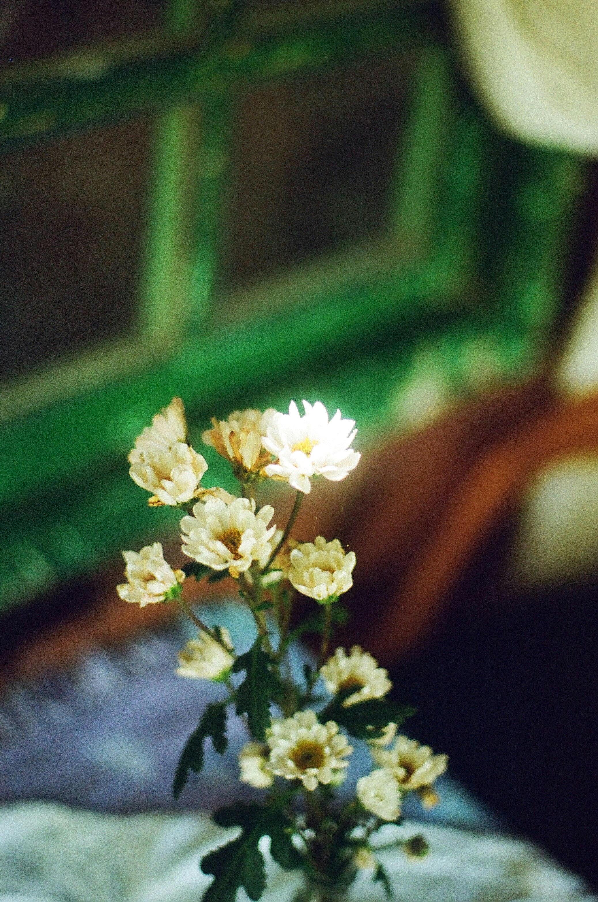 A vase filled with flowers sitting on top of a bed