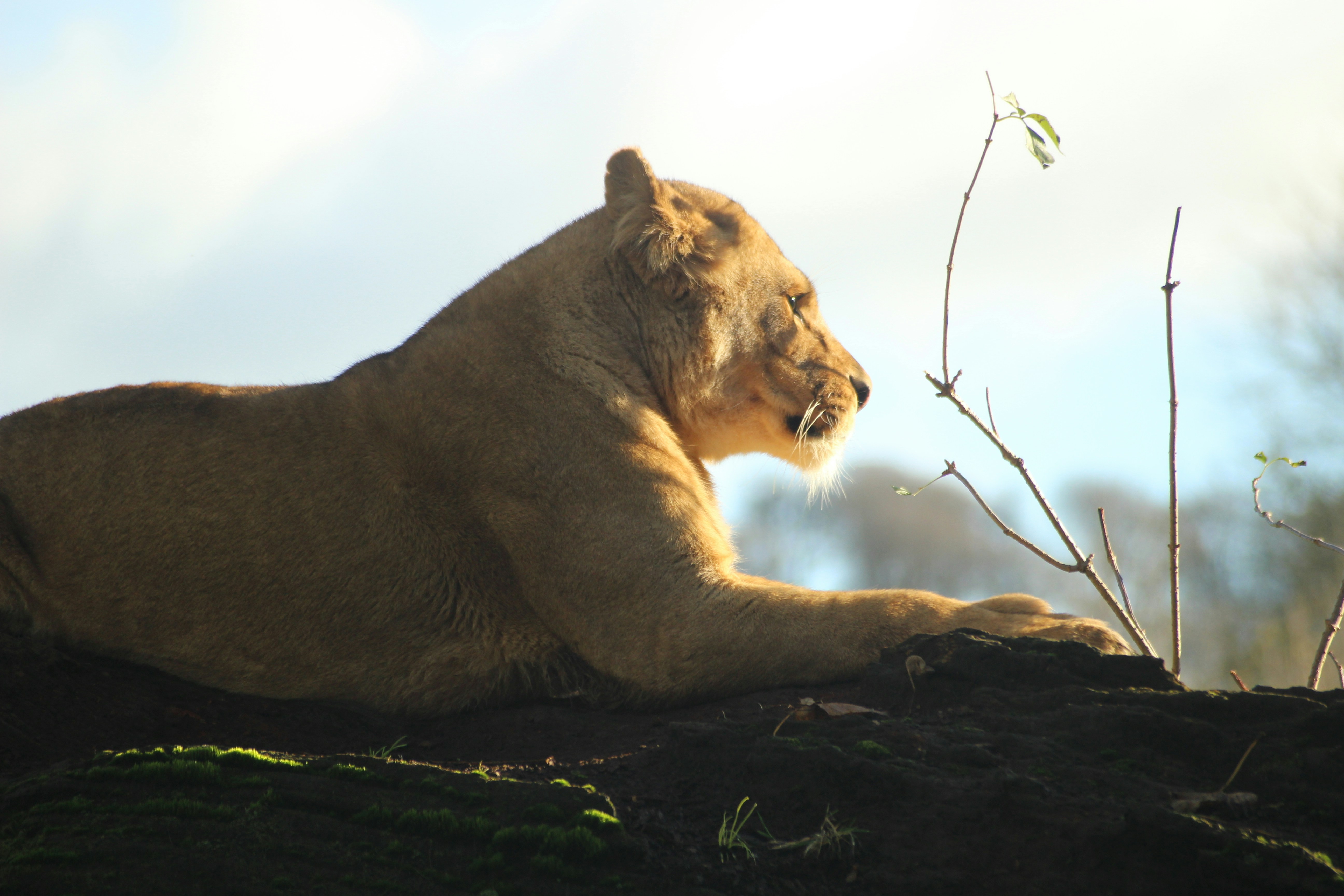 Photo by whphotography