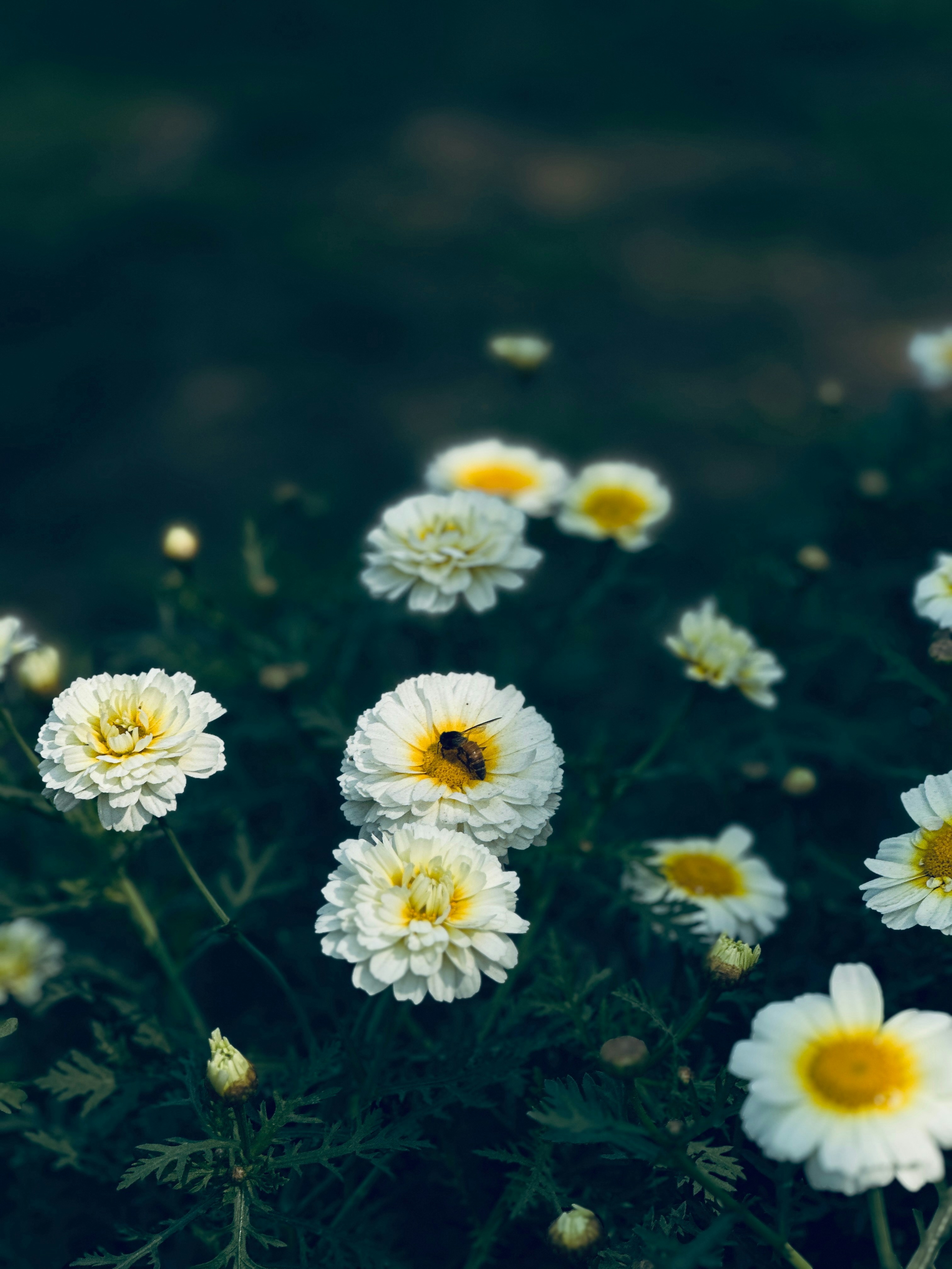 Photo by storiesbysid_