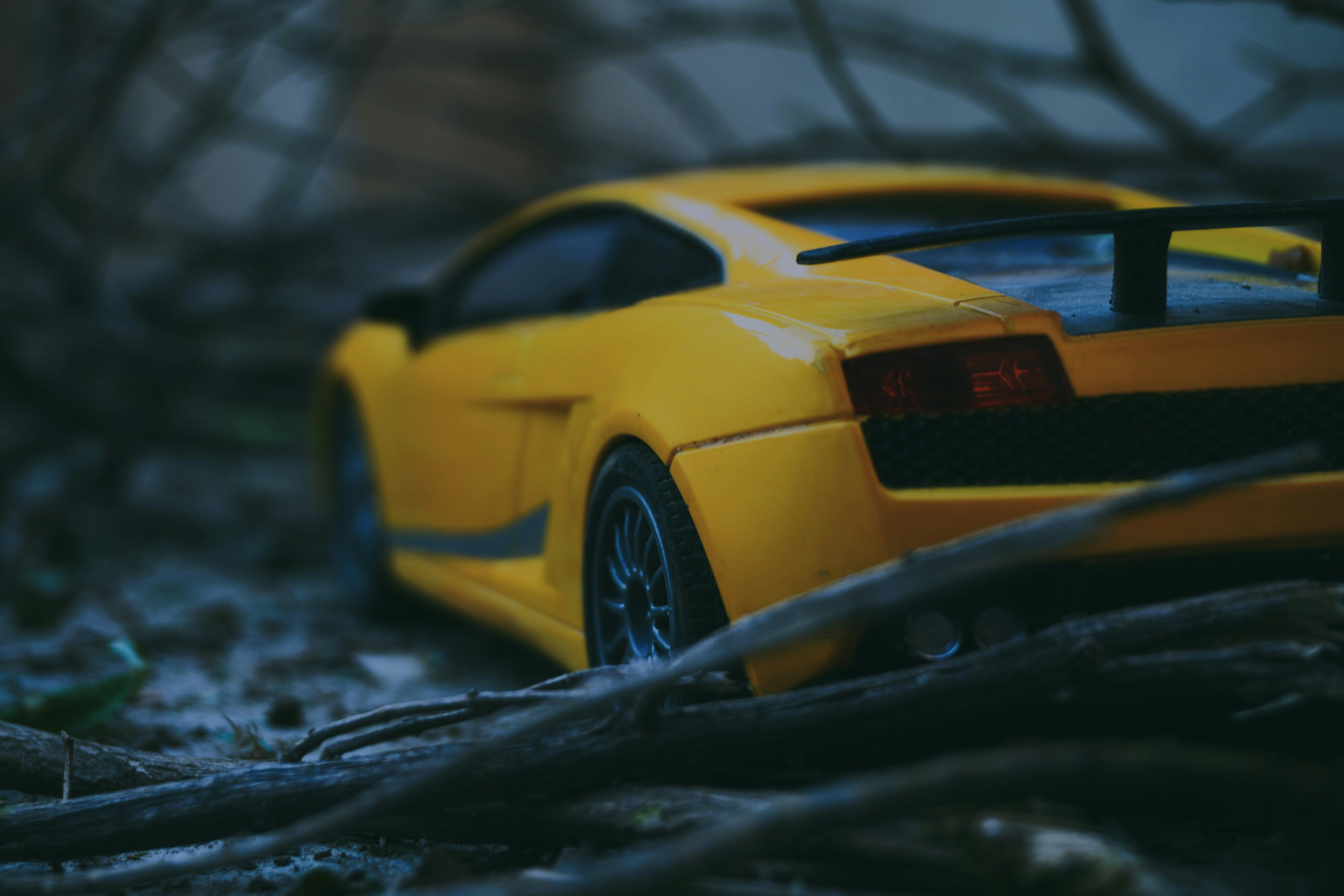 Photo by agrianu_2005