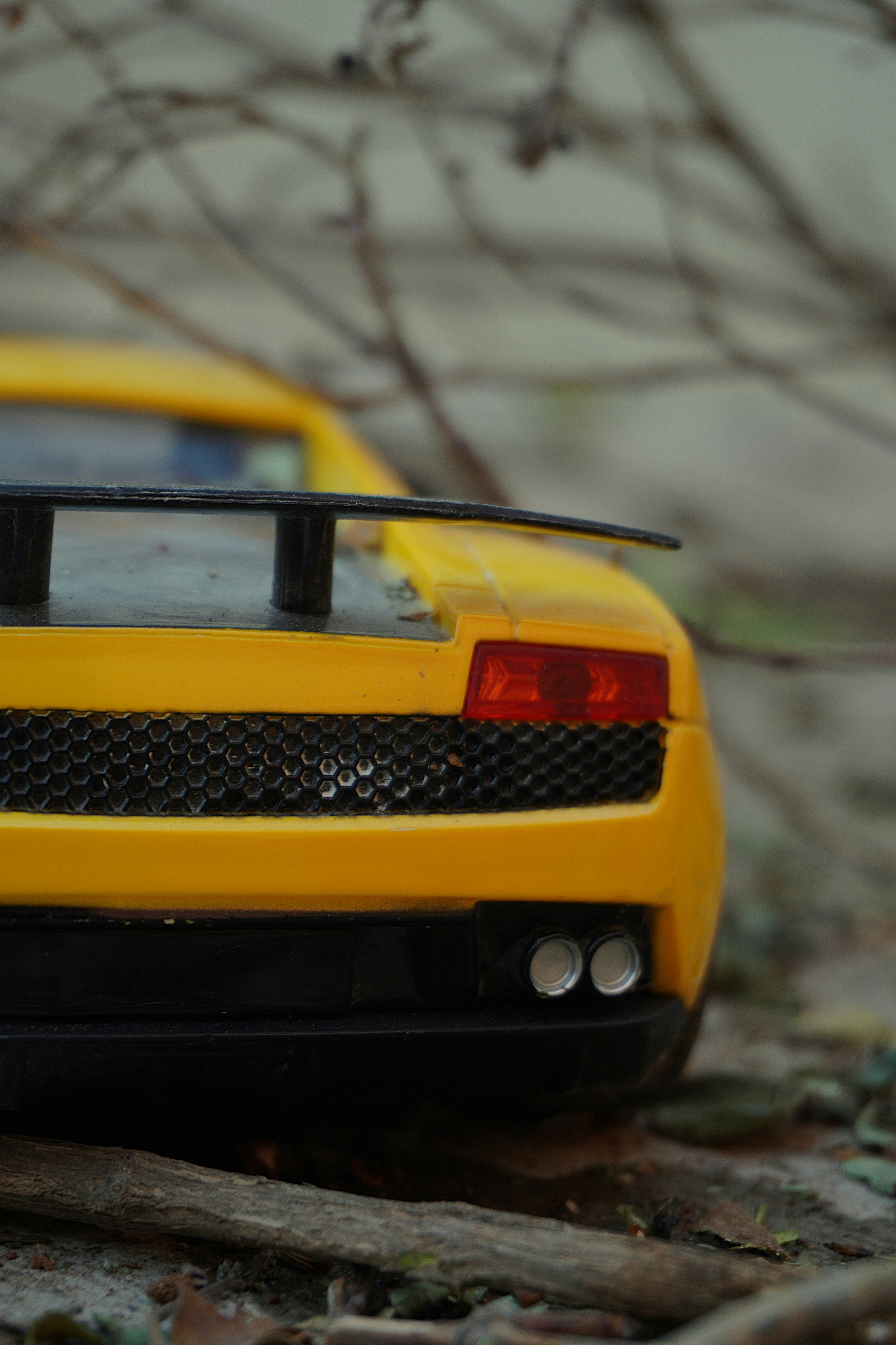 Photo by agrianu_2005