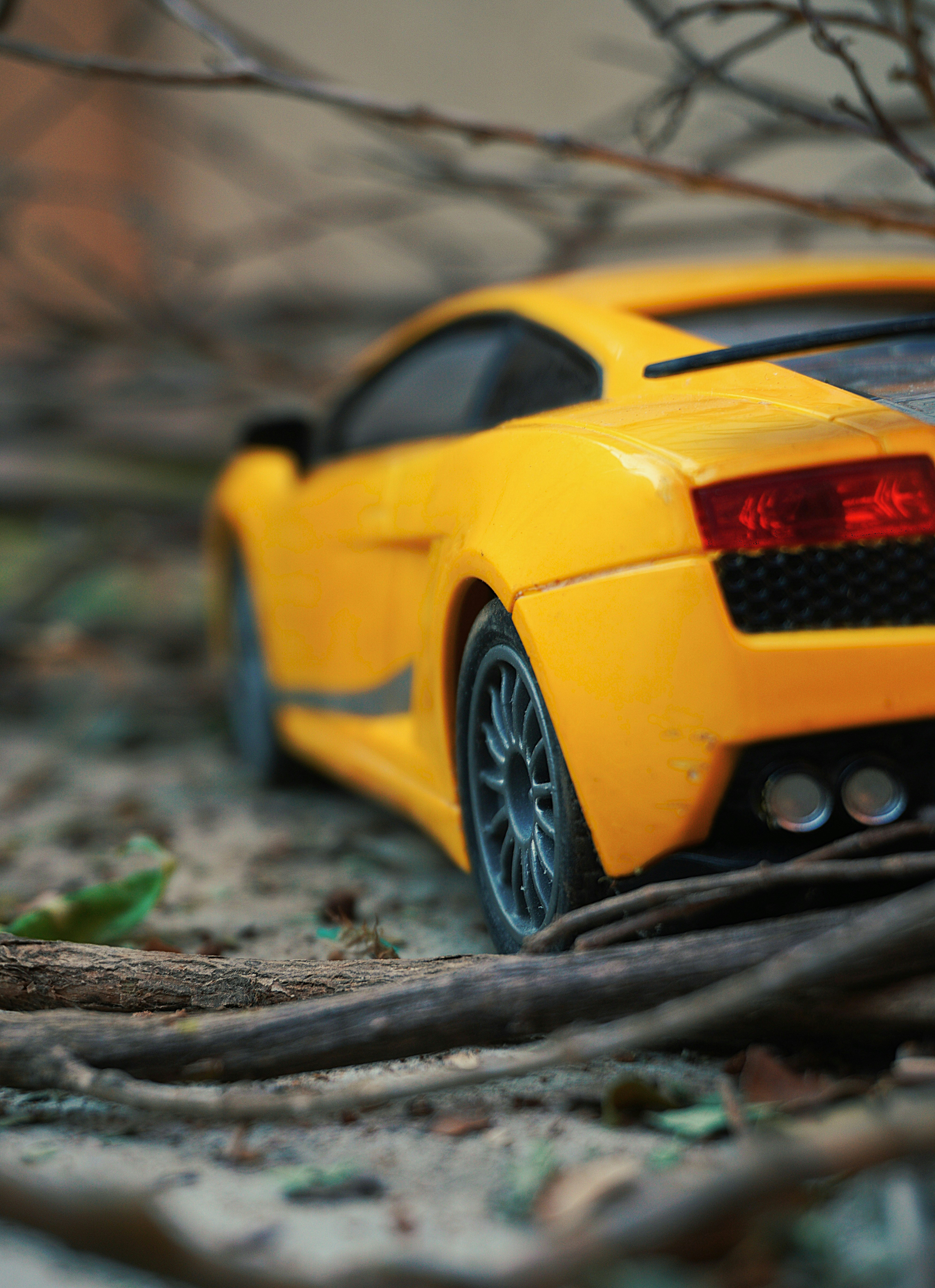 Photo by agrianu_2005