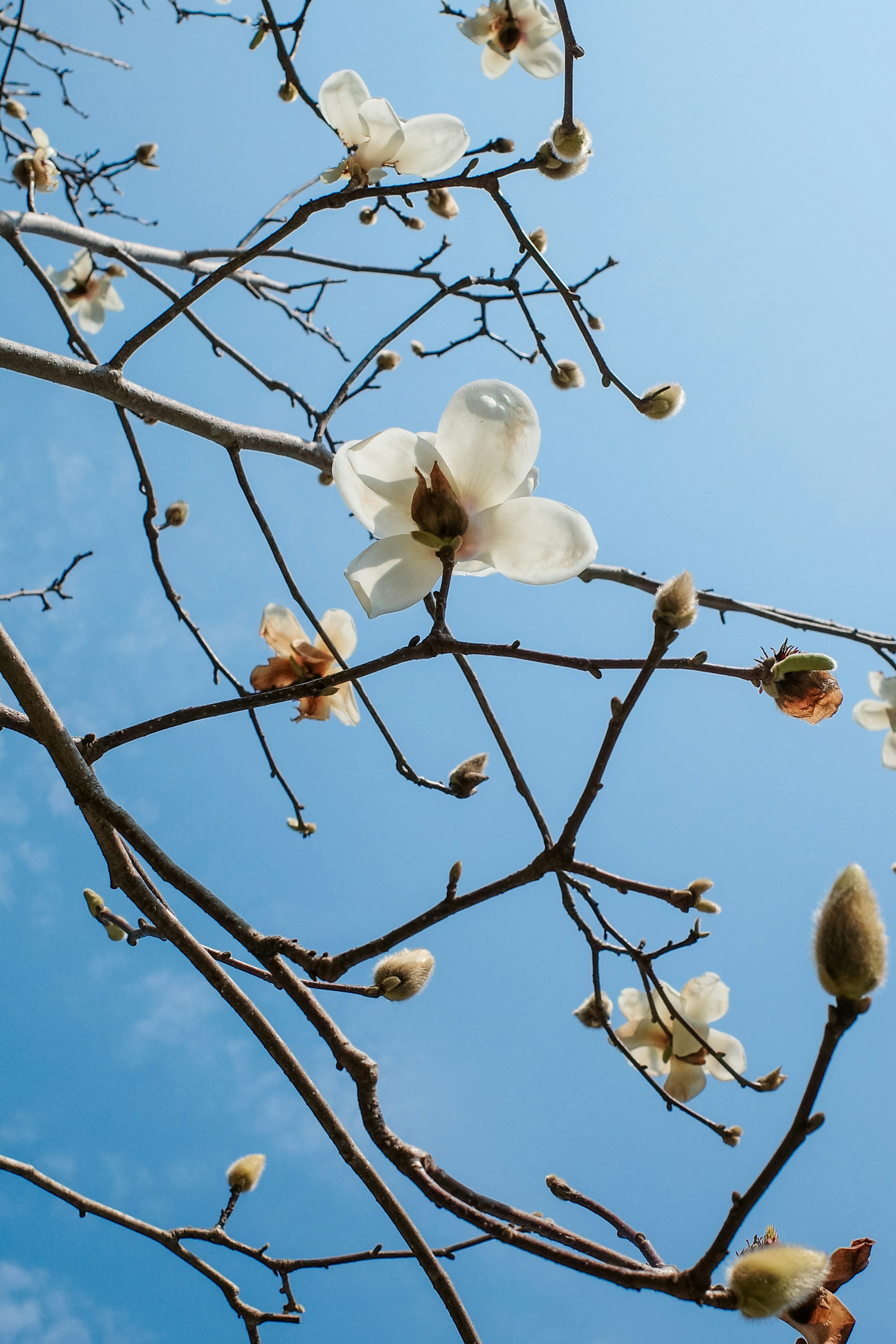 Photo by dickenslin76