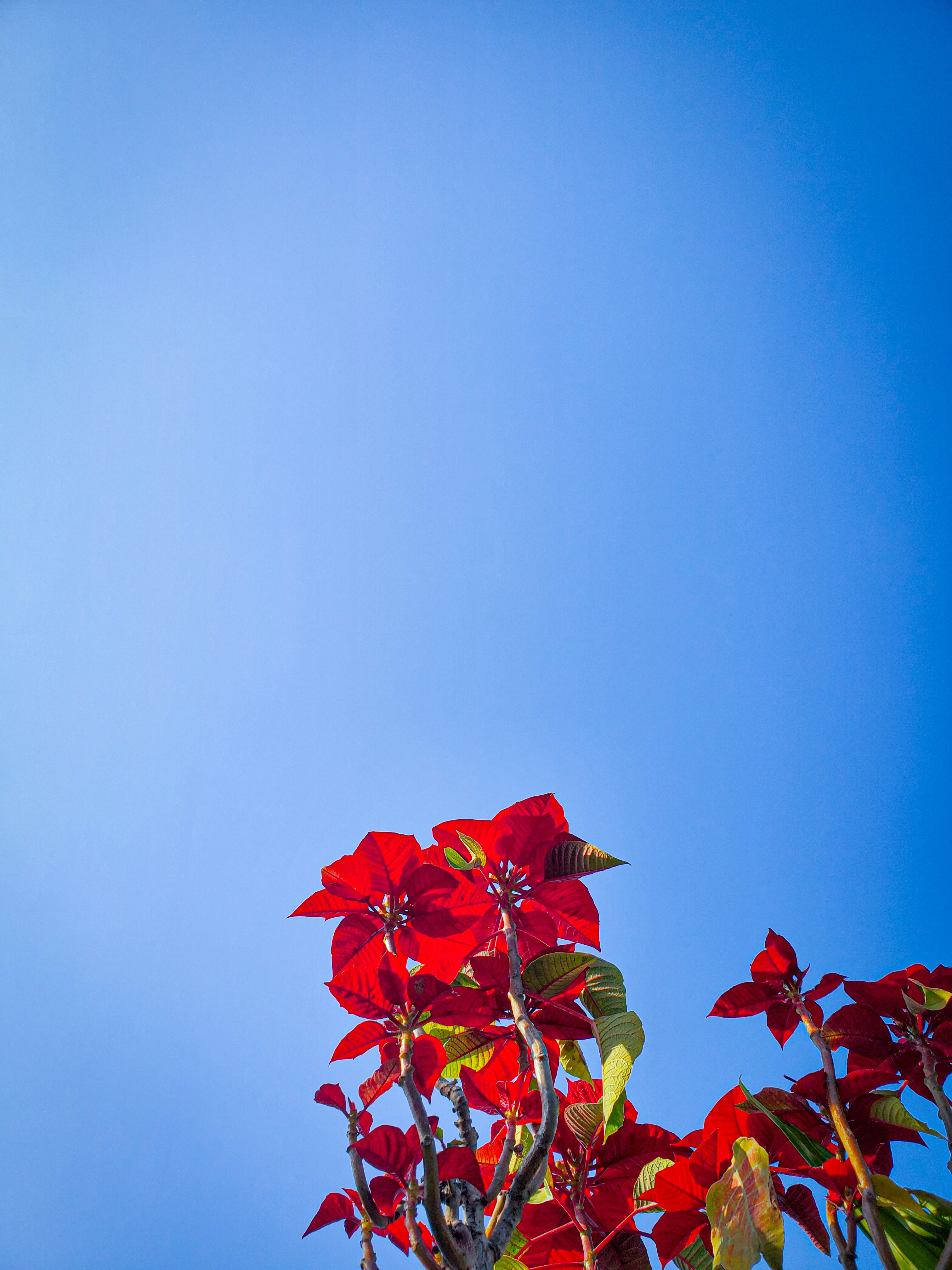 Photo by luminous___