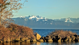 A body of water with mountains in the background