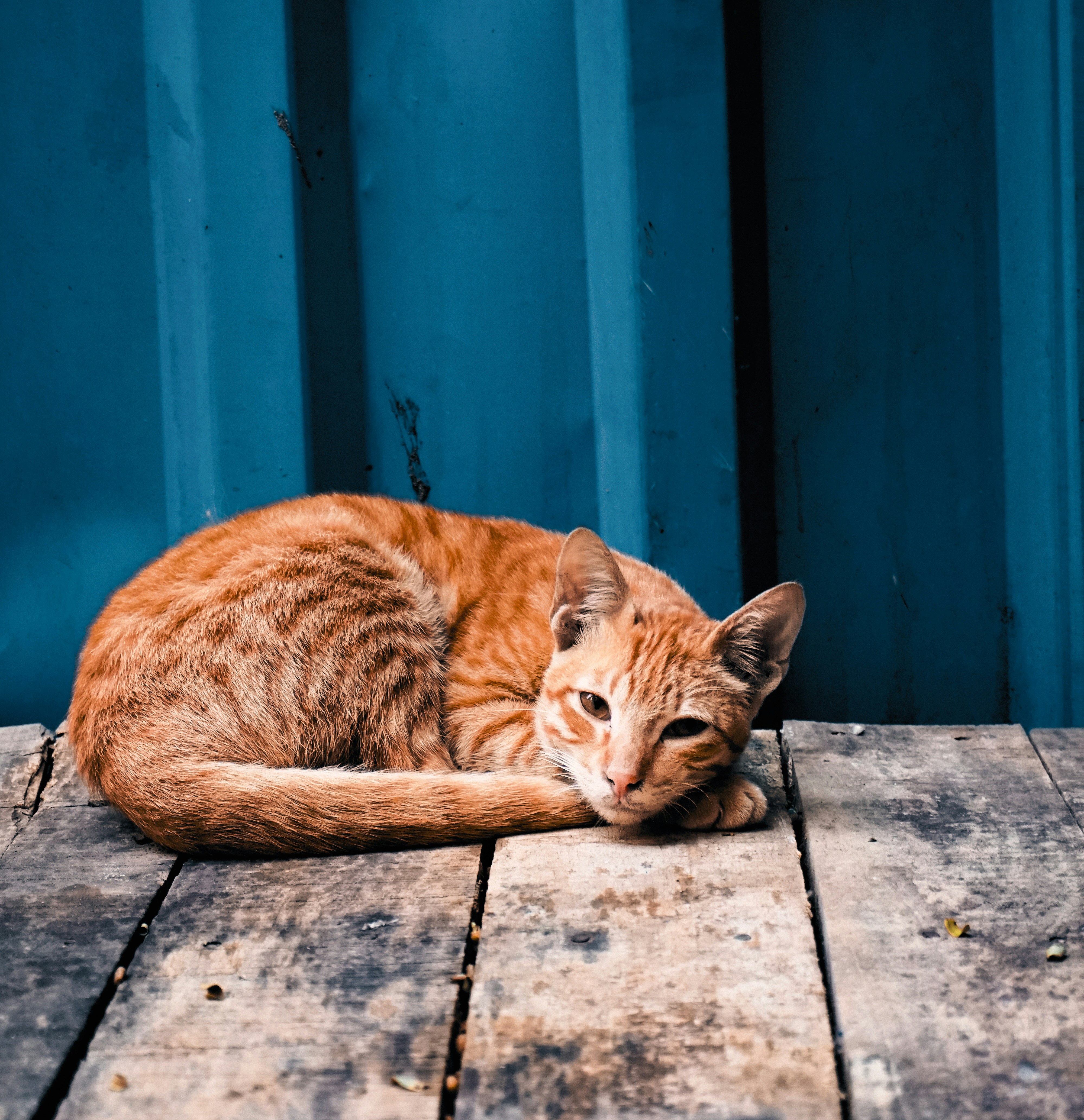 Photo by _muser_photography