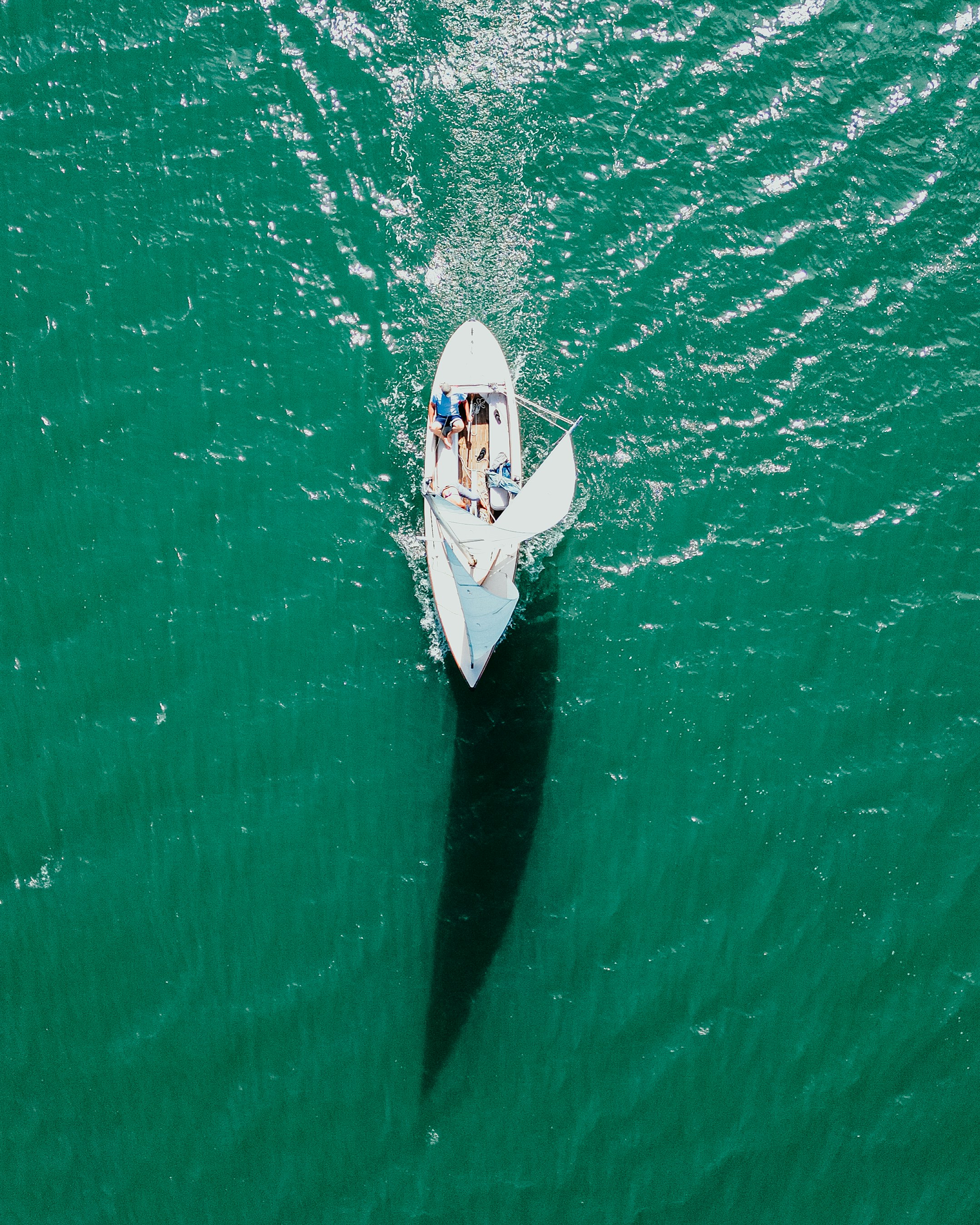 Photo by tribalmischief