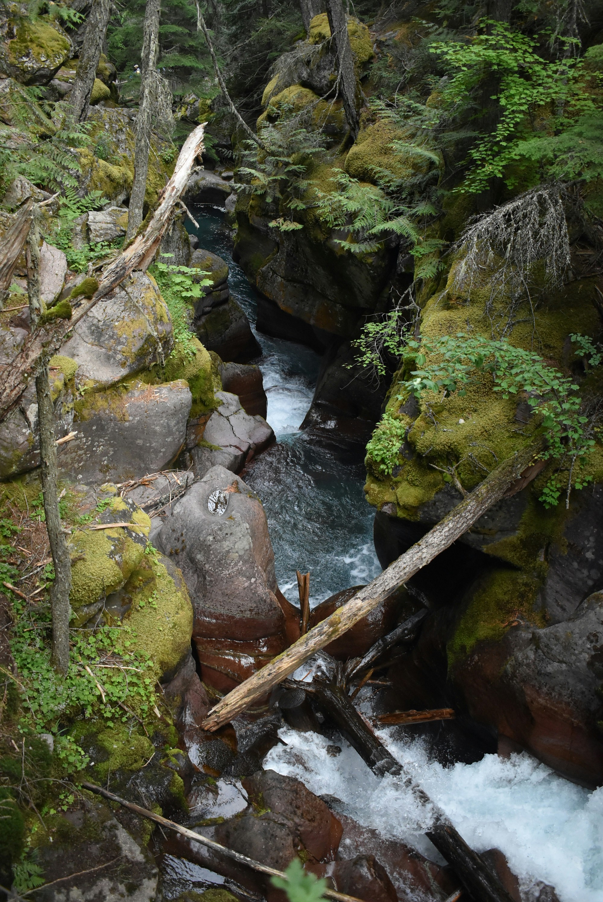 Photo by kaylalinford