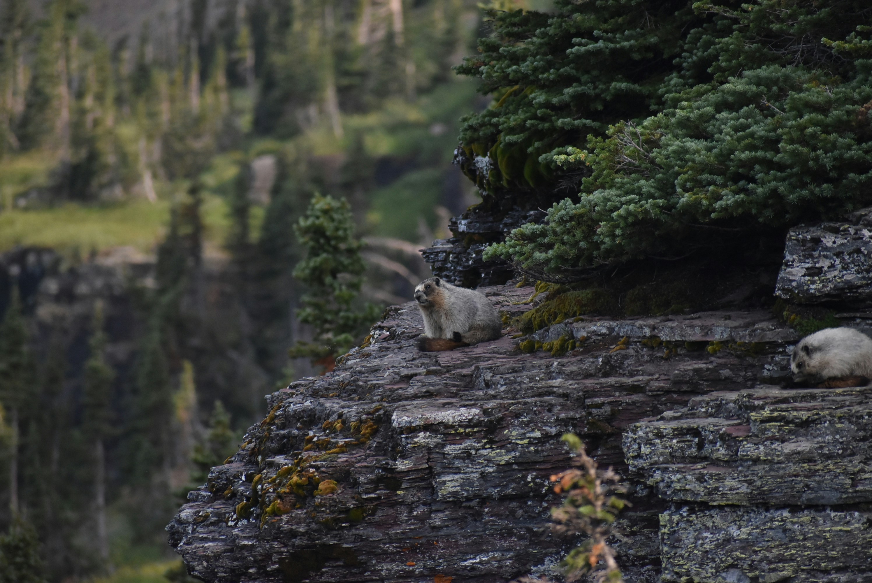 Photo by kaylalinford