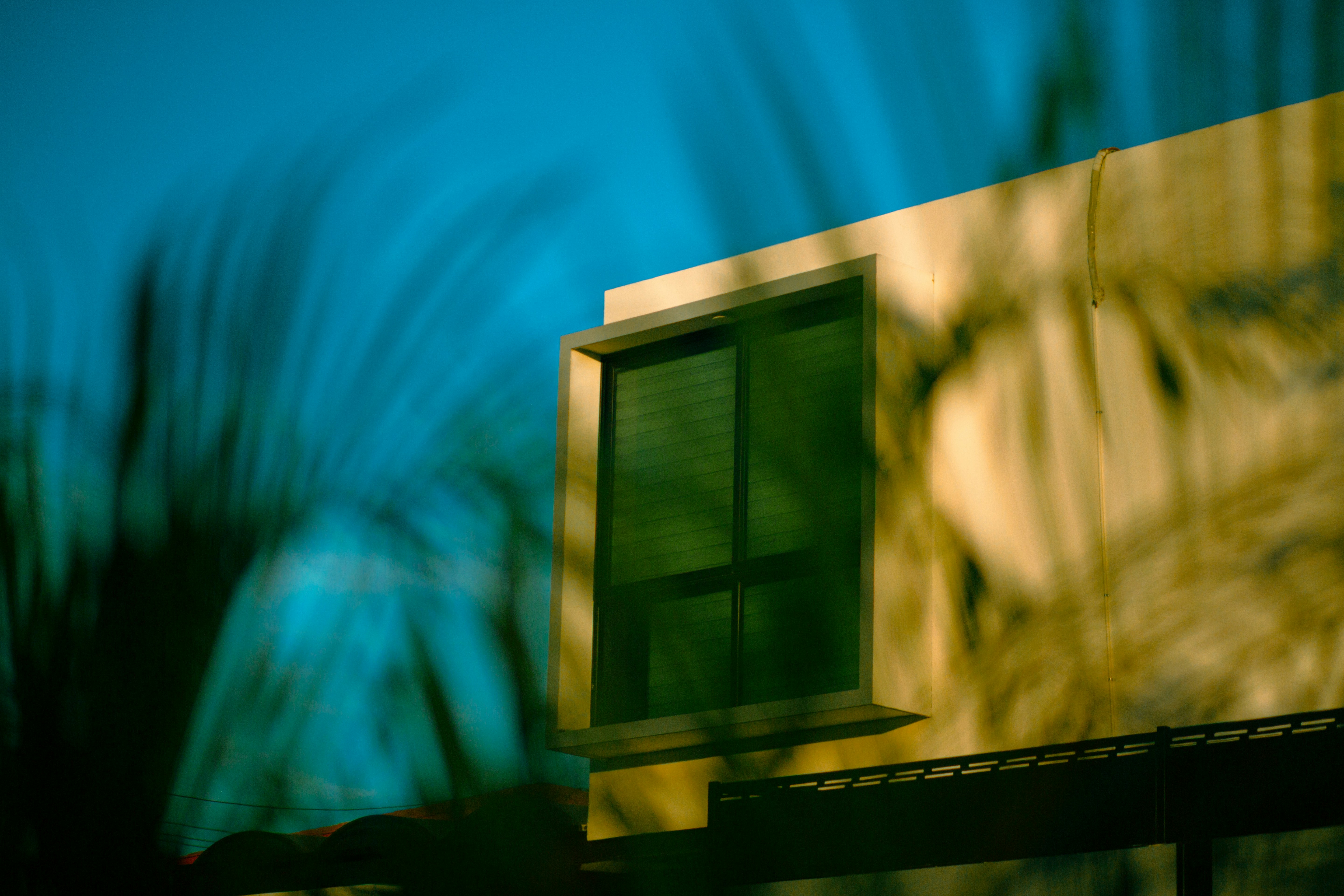 Photo by leonardodbi