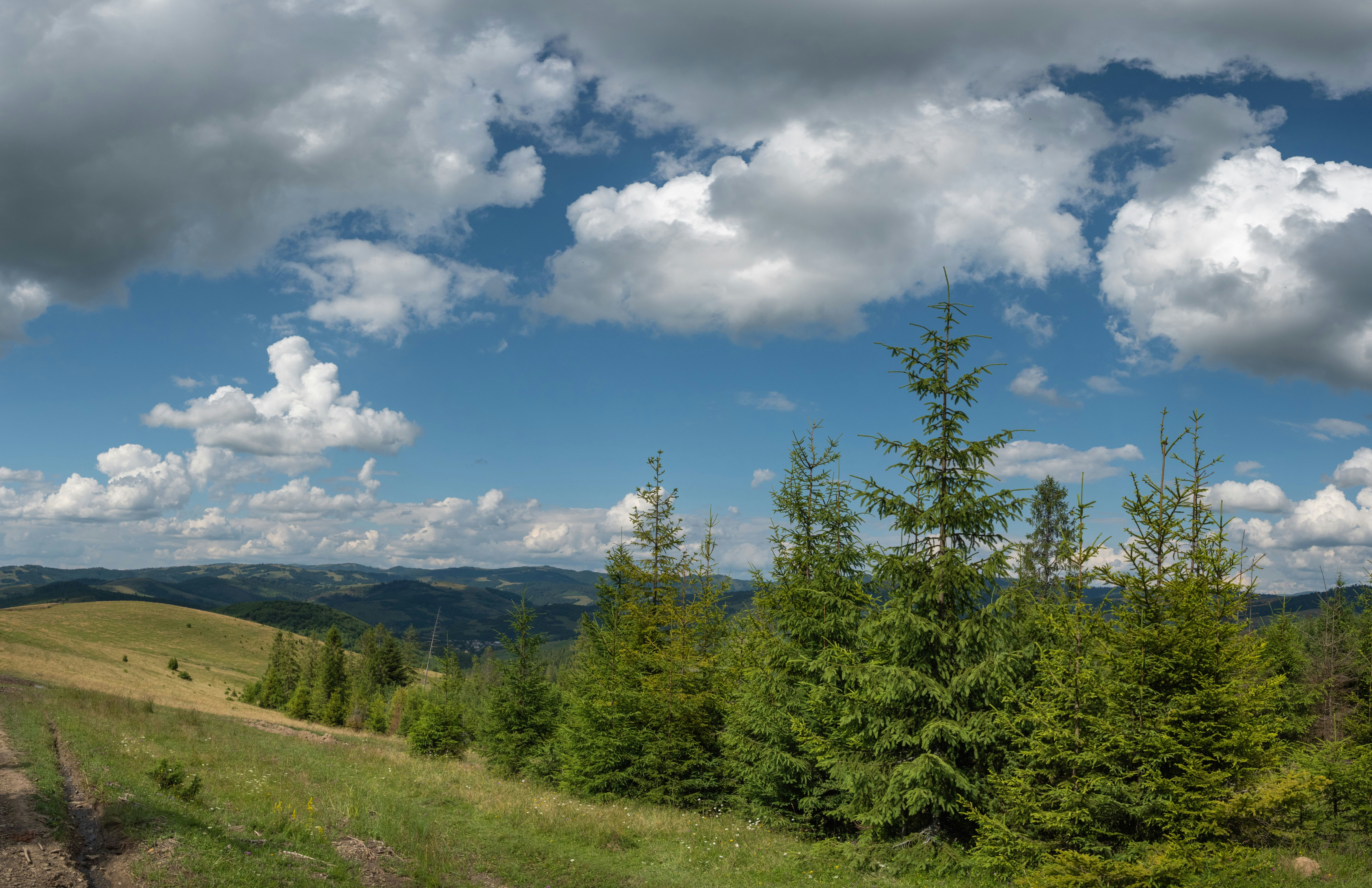 Photo by sevencolors