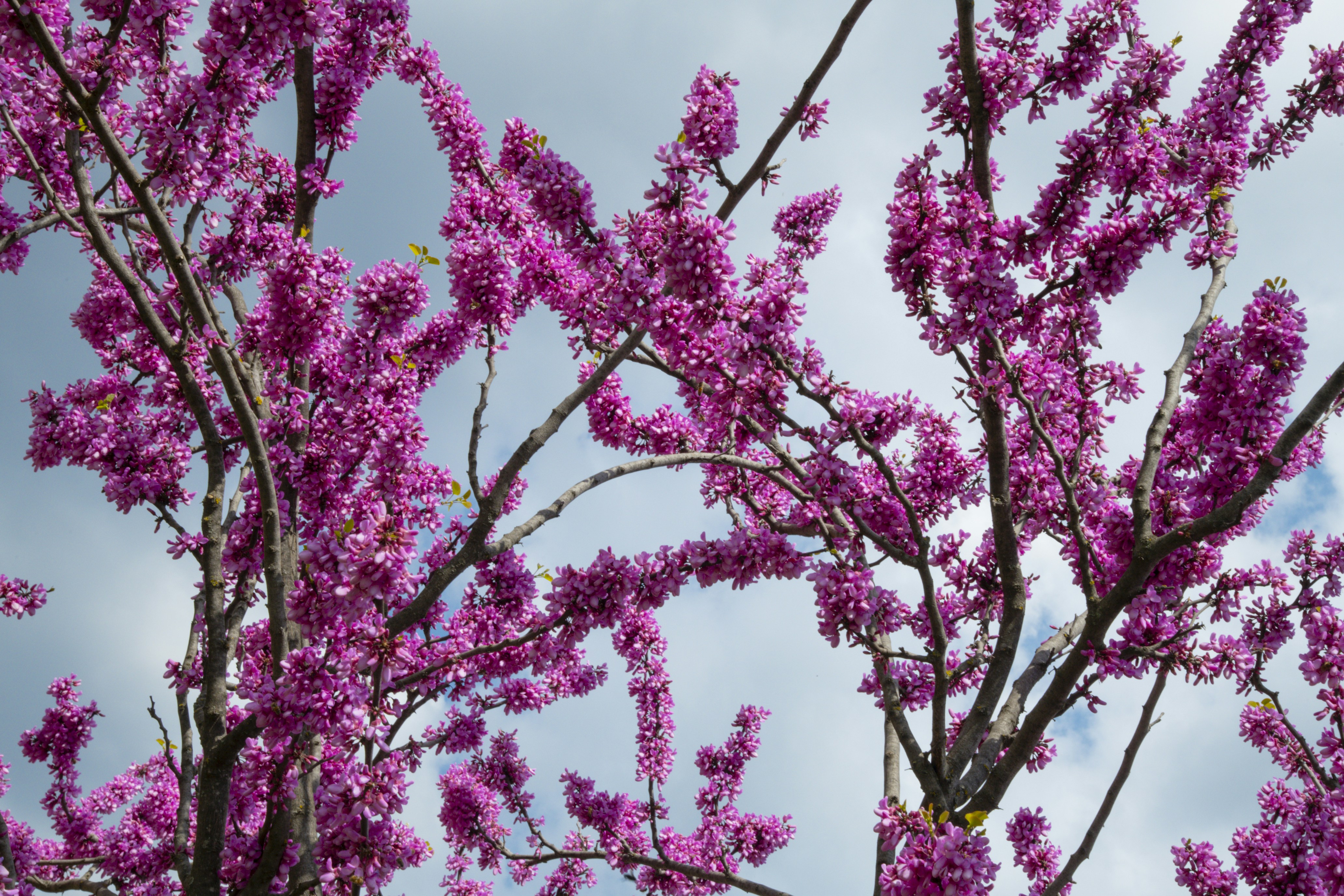 Photo by cemreakcall