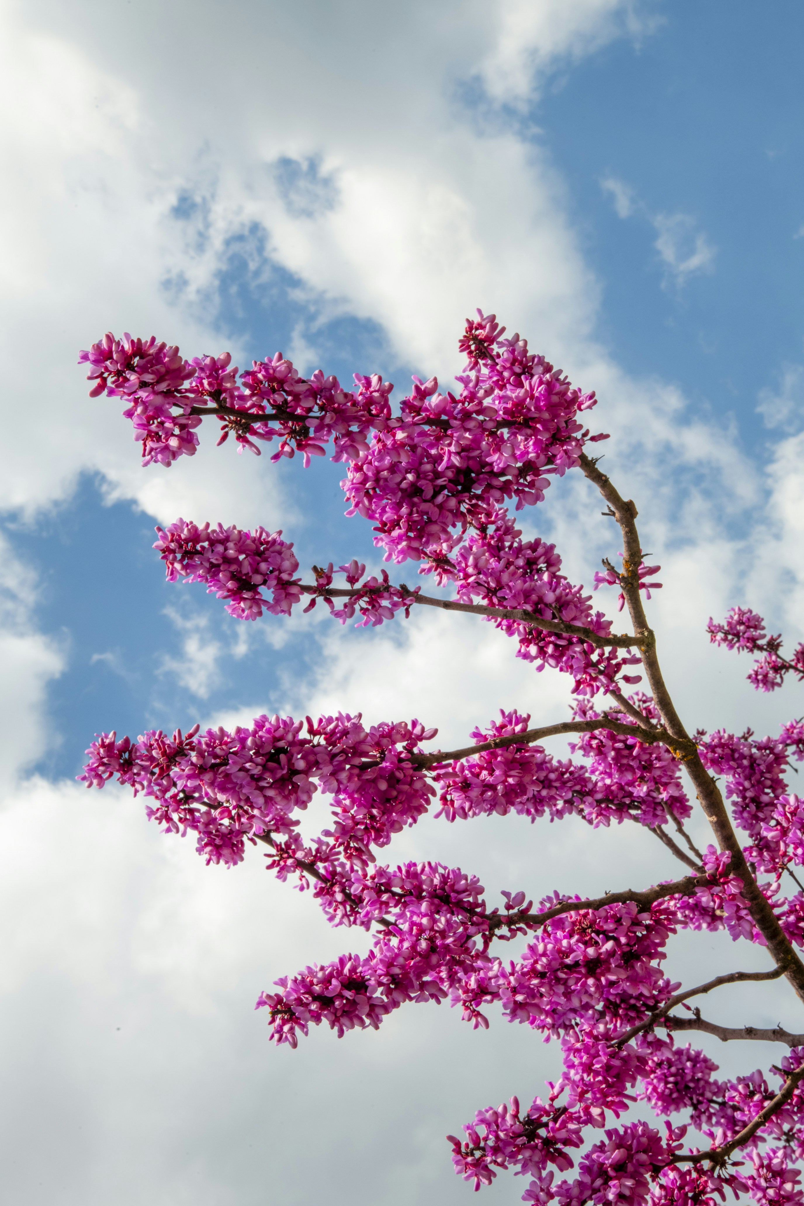 Photo by cemreakcall